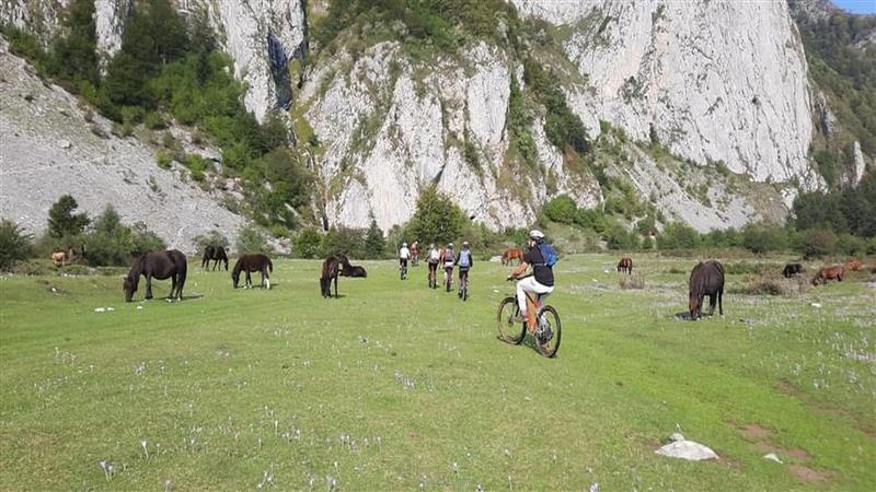 VTT N°50 - Plateau de Sanchèse