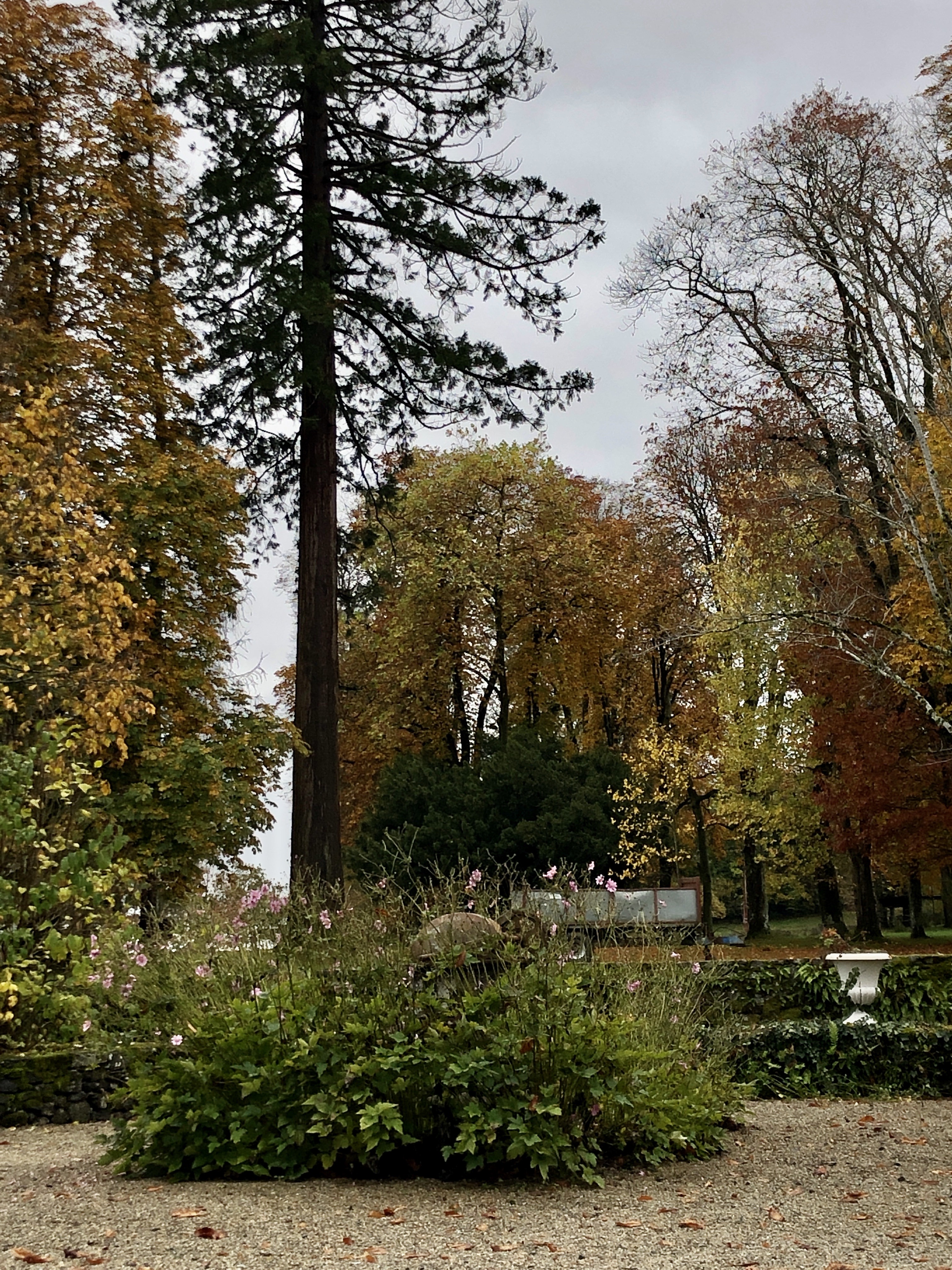 Château de Rilhac-Xaintrie, Rilhac-Xaintrie - photo 6