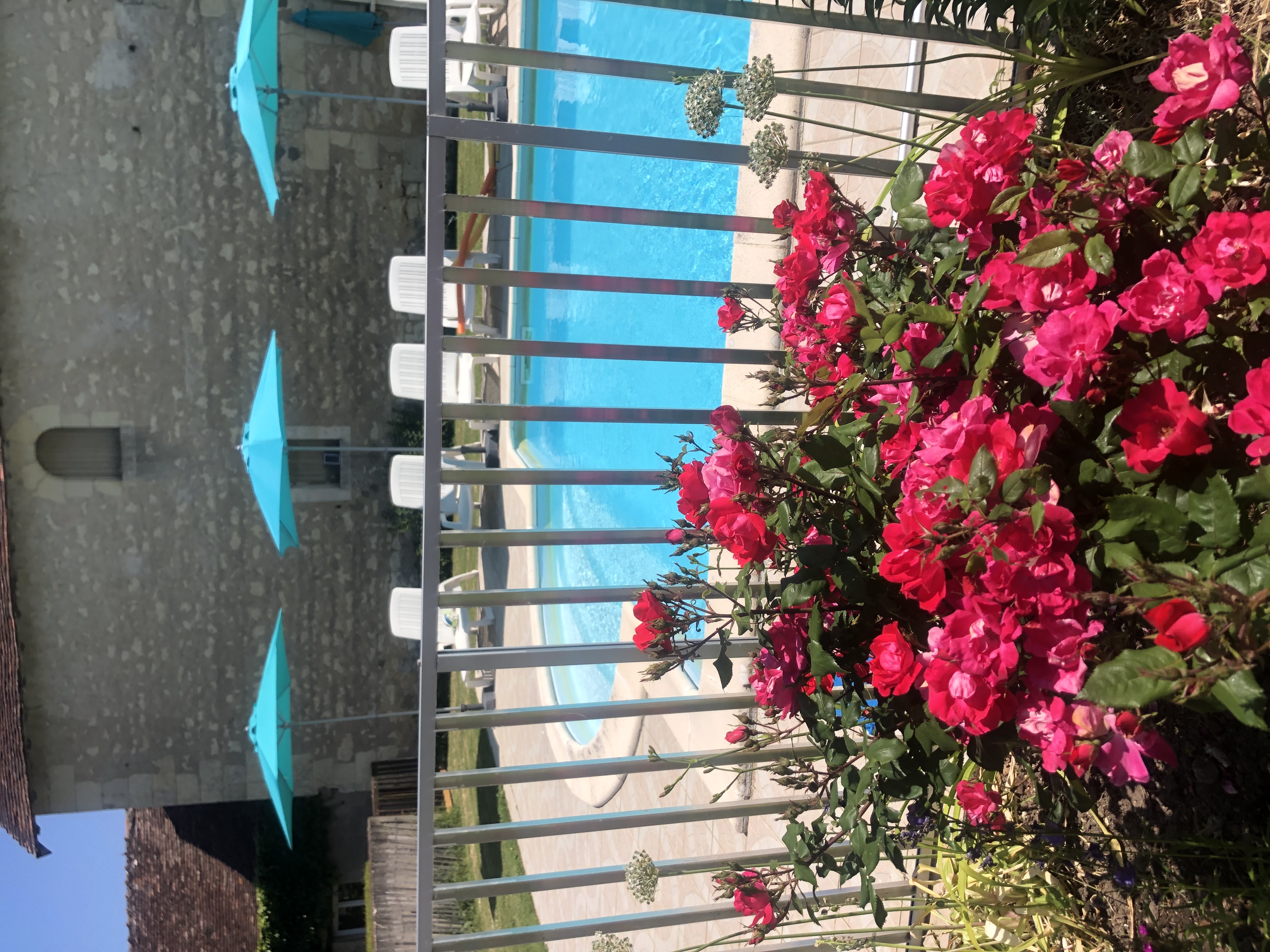 Les Vieux Chênes - Gîte Chenonceau, Oyré - photo 11