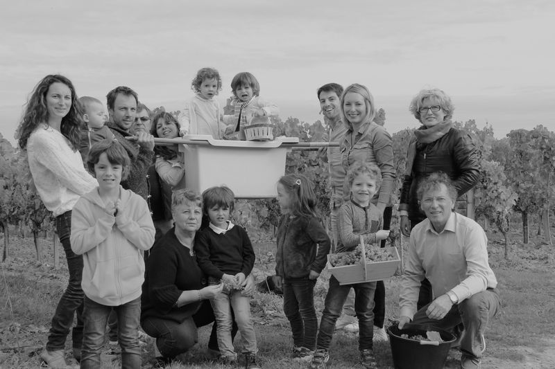 Château Poulvère - photo 2