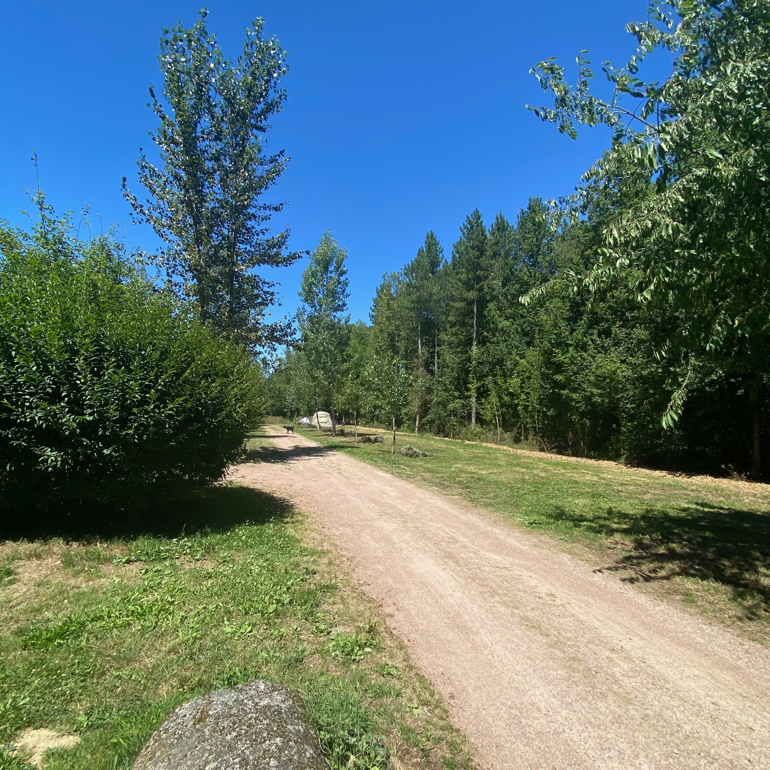 Aire Naturelle de Camping de Pont Chouette - photo 2