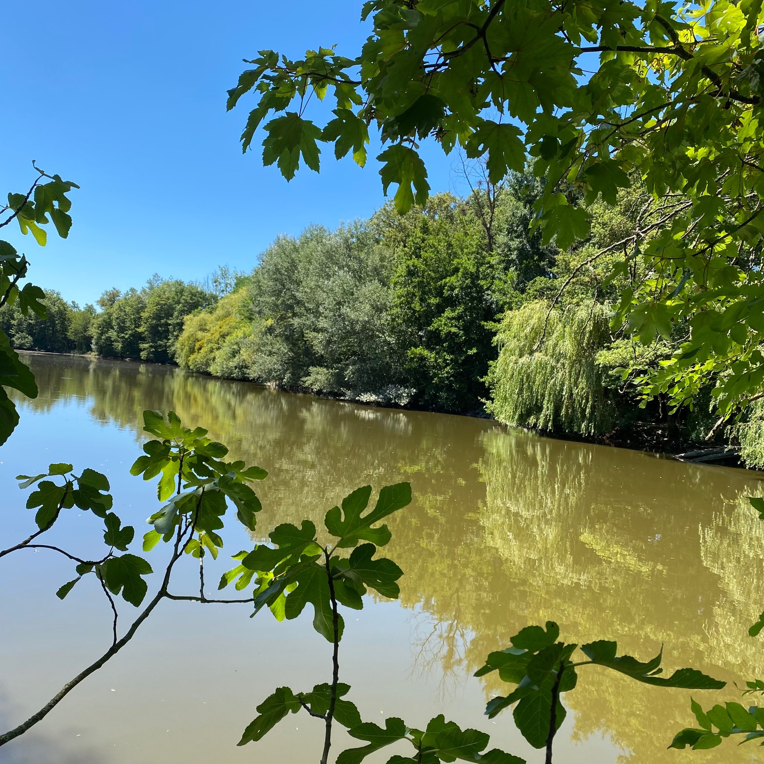 Aire Naturelle de Camping de Pont Chouette - photo 4