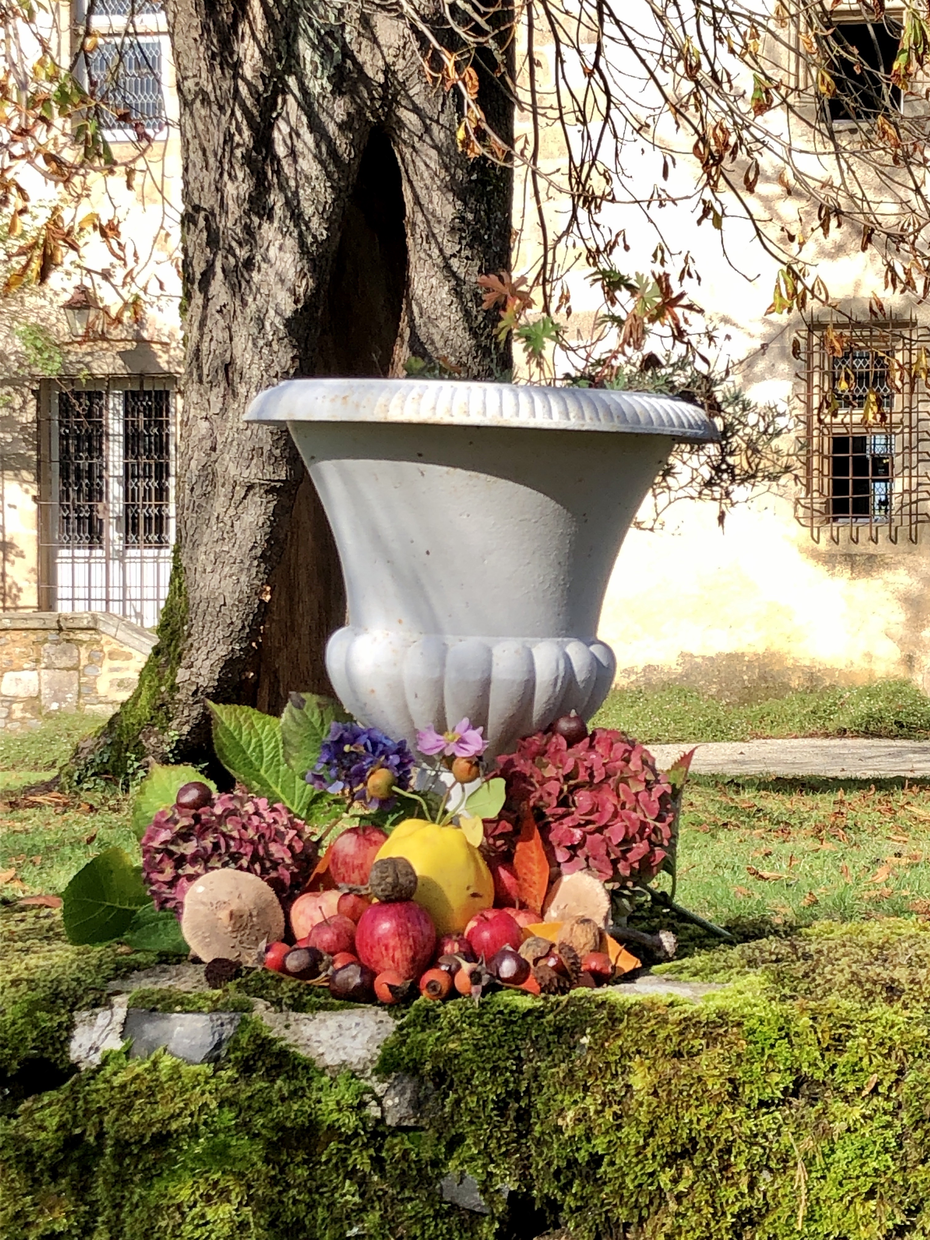 Château de Rilhac-Xaintrie, Rilhac-Xaintrie - photo 8