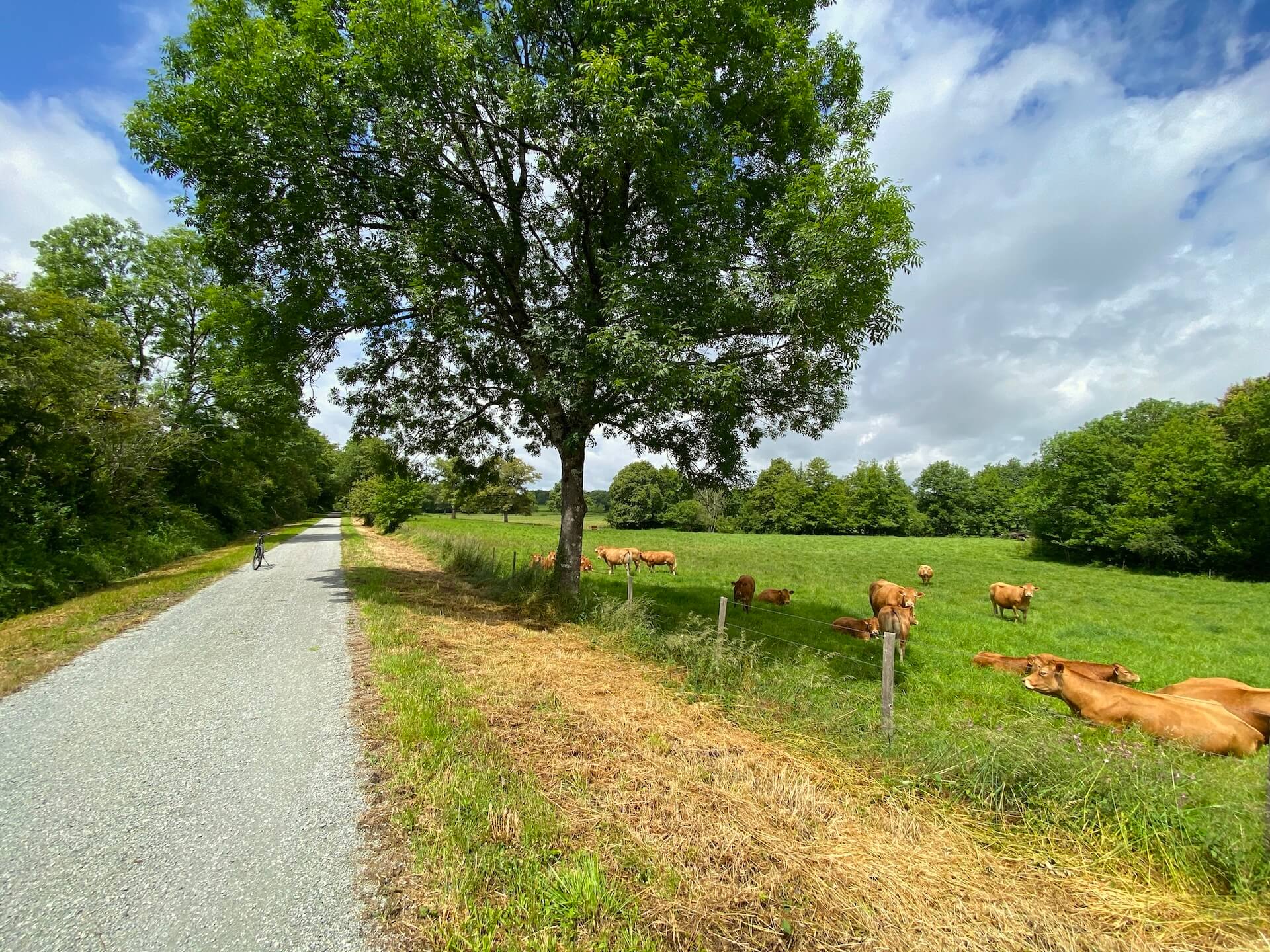 Voie verte du Haut Limousin - photo 2