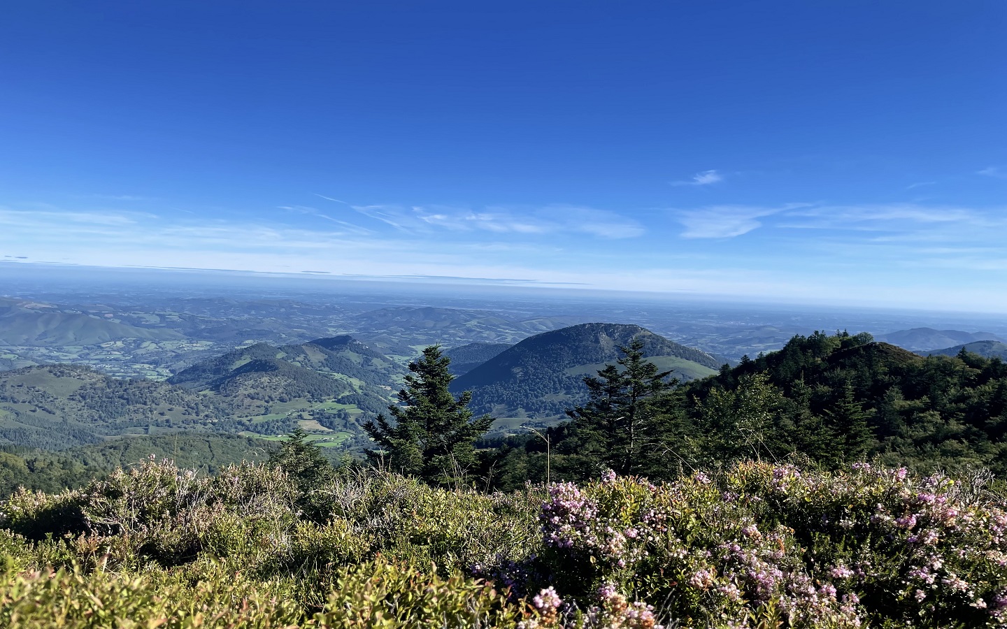 N°11 Barétous - Crêtes d'Issarbe, Lanne-en-Barétous