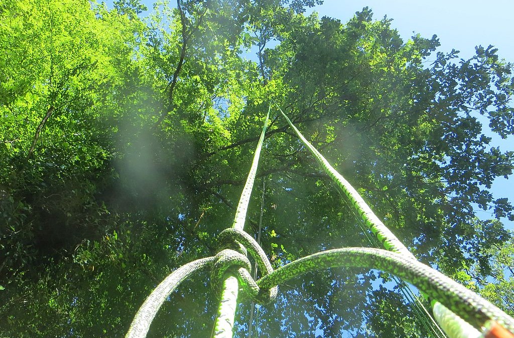 Les Ecureuils sur Cordes