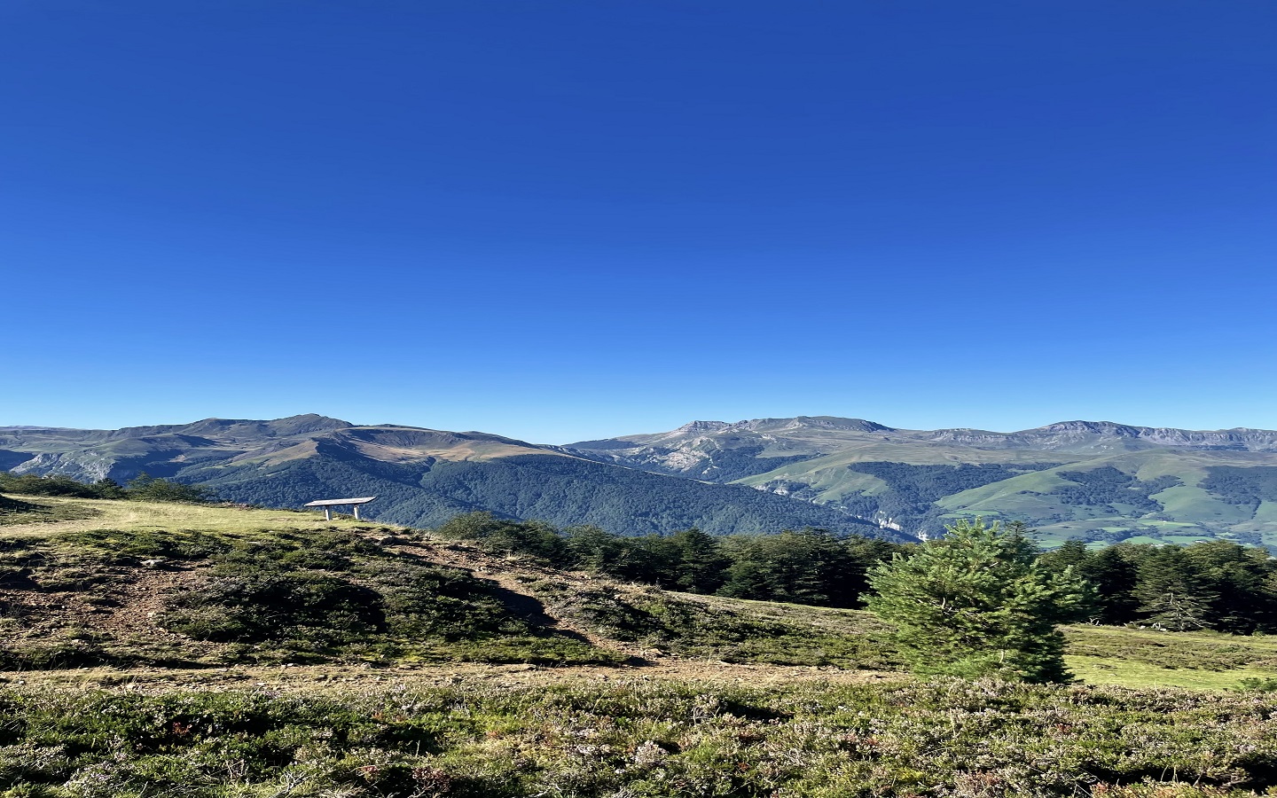 N°11 Barétous - Crêtes d'Issarbe, Lanne-en-Barétous - photo 4