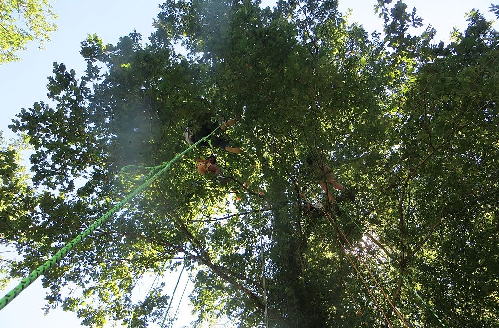 Les Ecureuils sur Cordes - photo 2