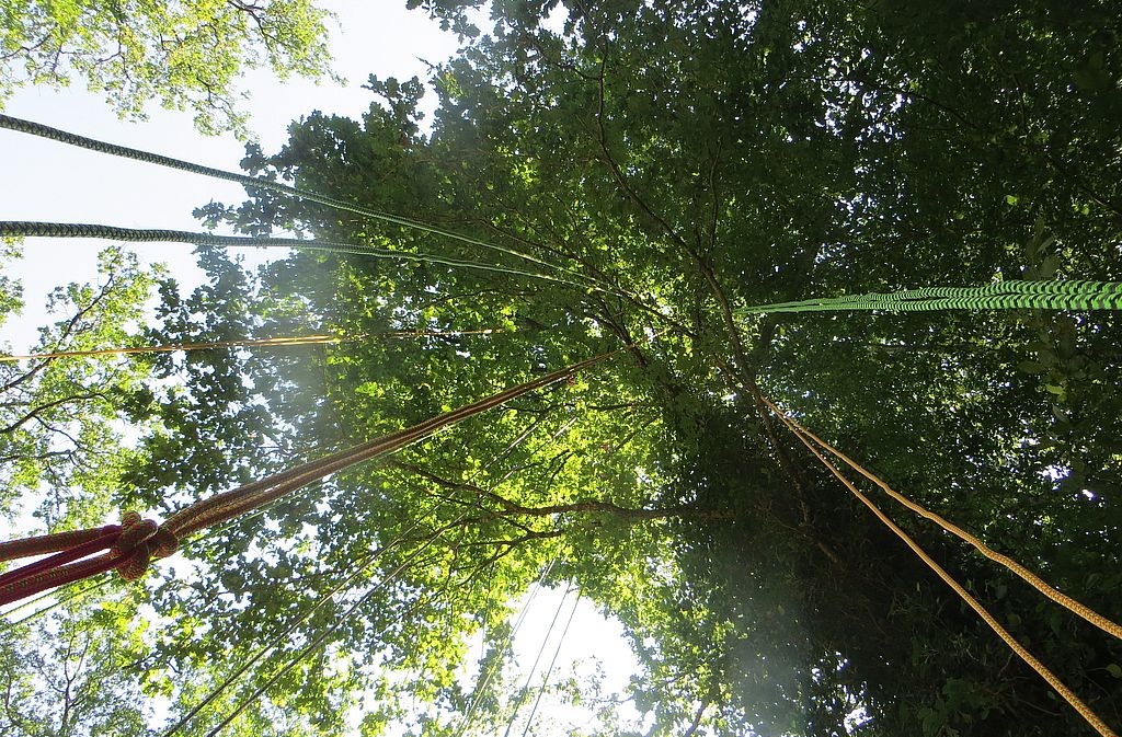 Les Ecureuils sur Cordes - photo 3