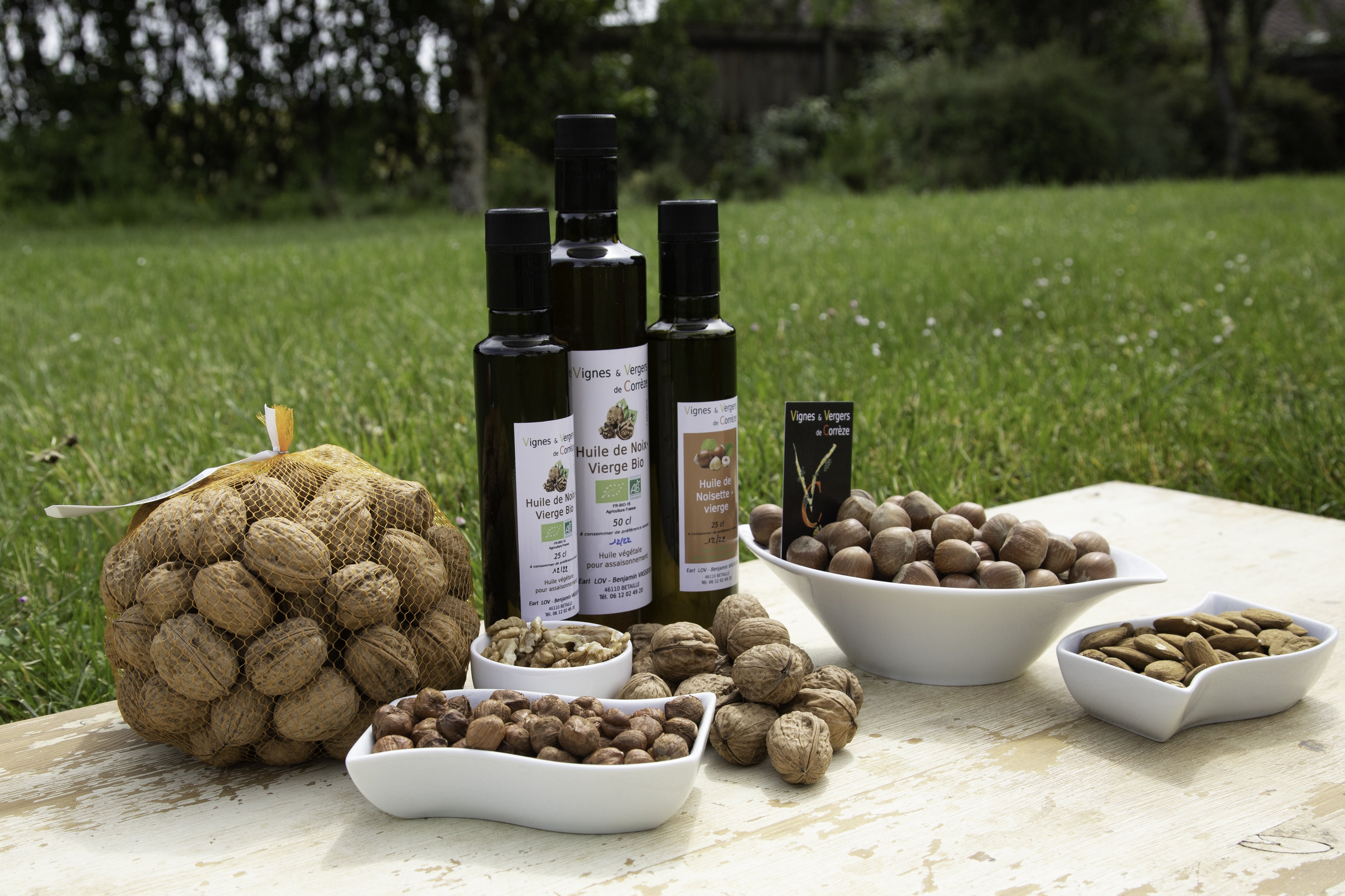 Vignes et Vergers de Corrèze - photo 3