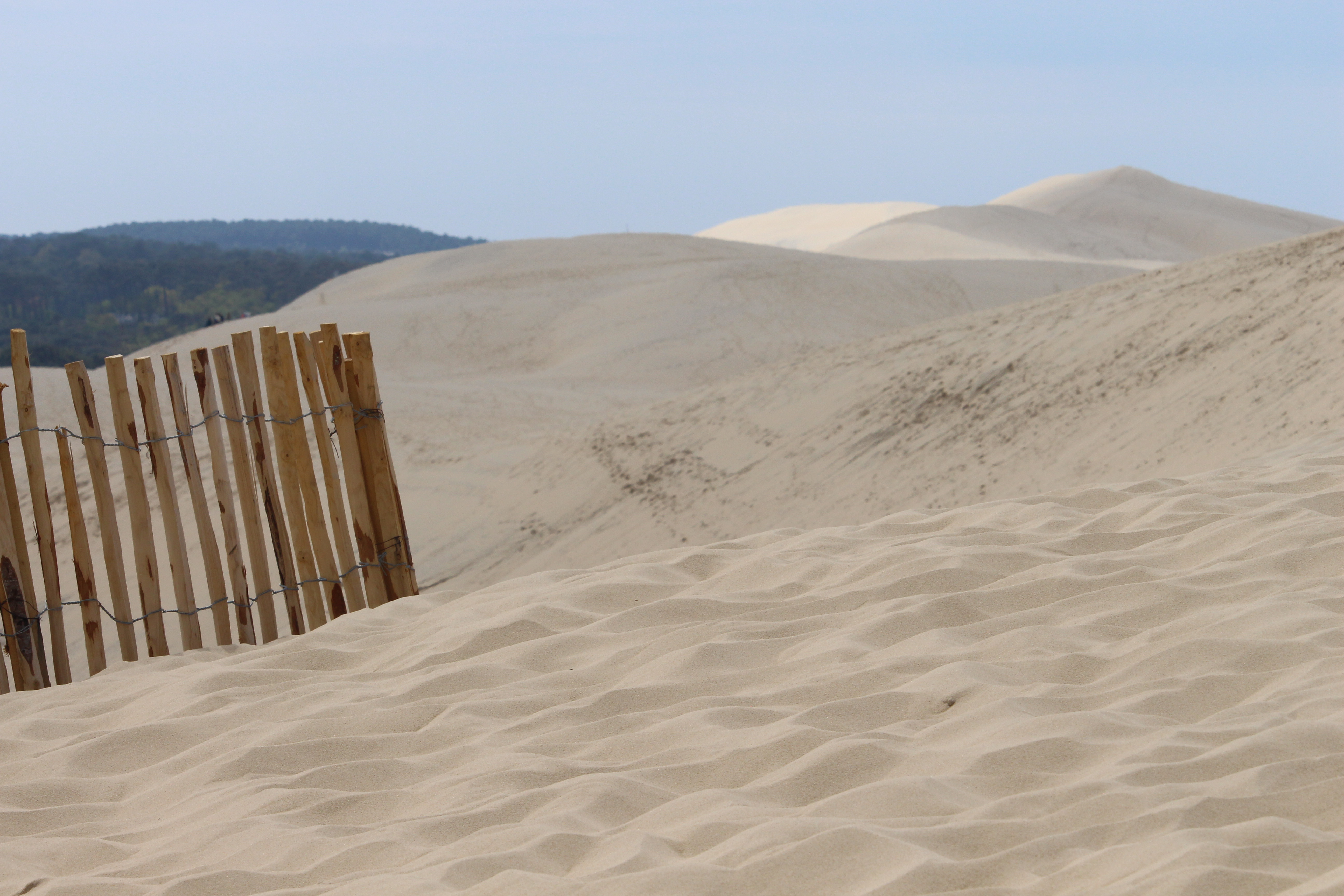 Visite guidée de la Dune du Pilat