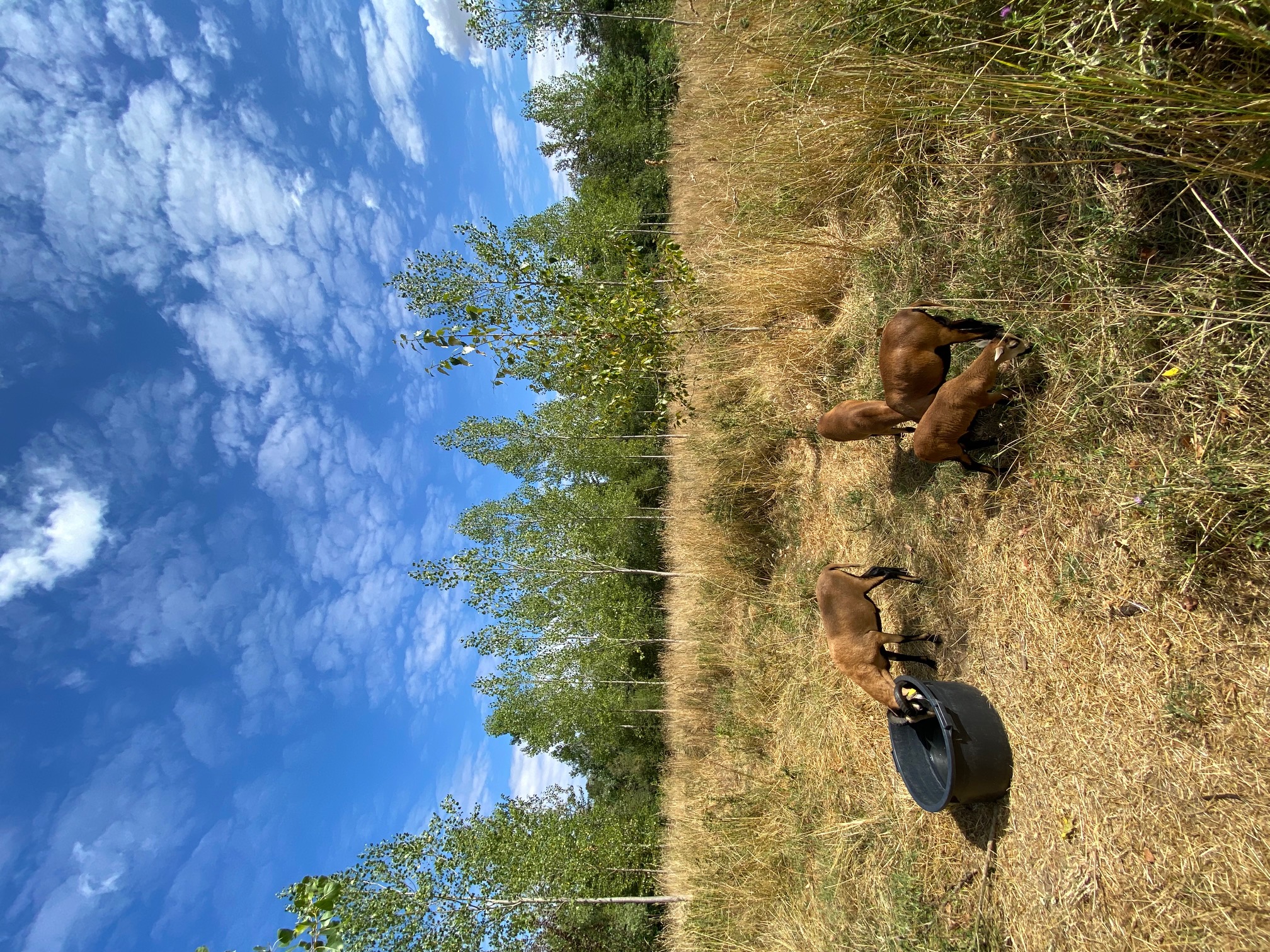 Aire Naturelle de Camping de Pont Chouette - photo 5