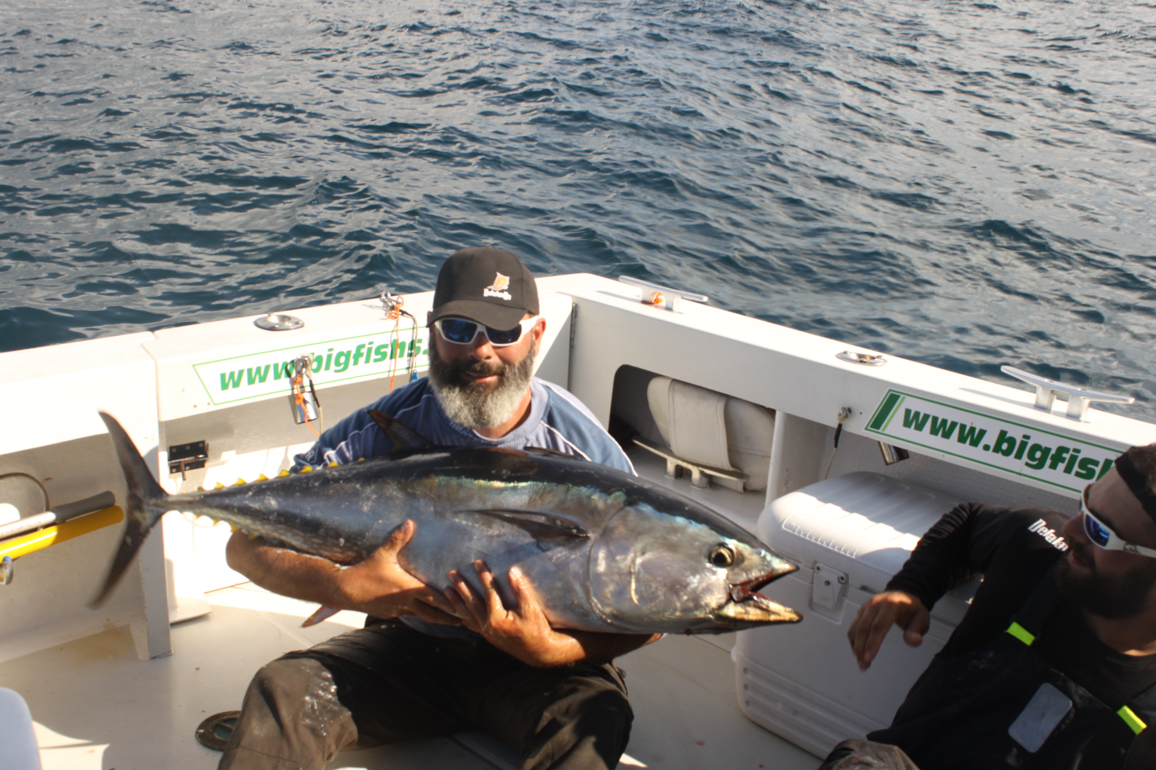 Bigfishs