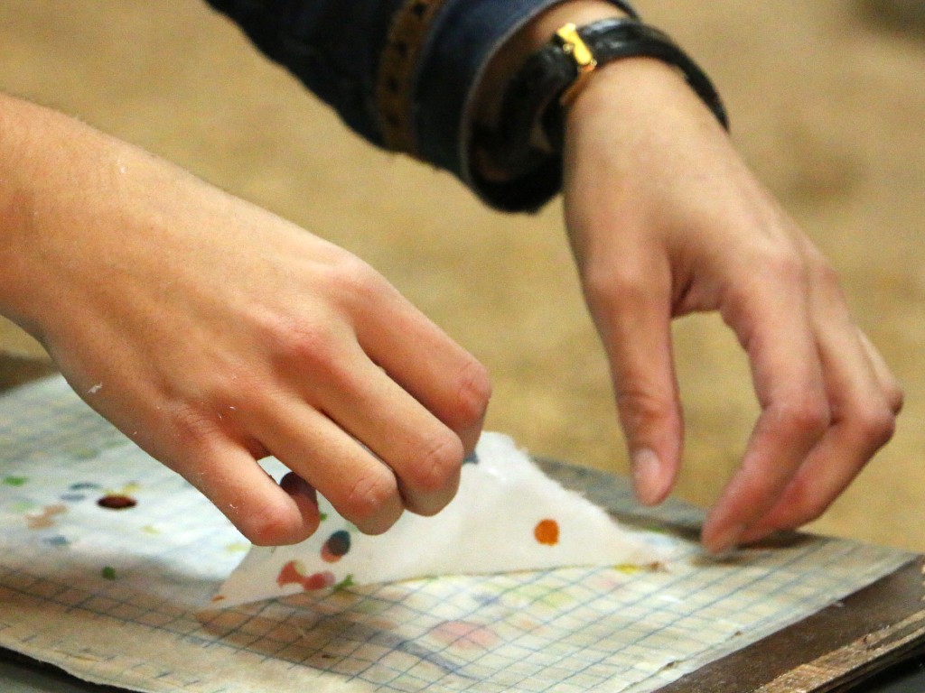 Moulin à papier de la Rouzique, Couze-et-Saint-Front - photo 7