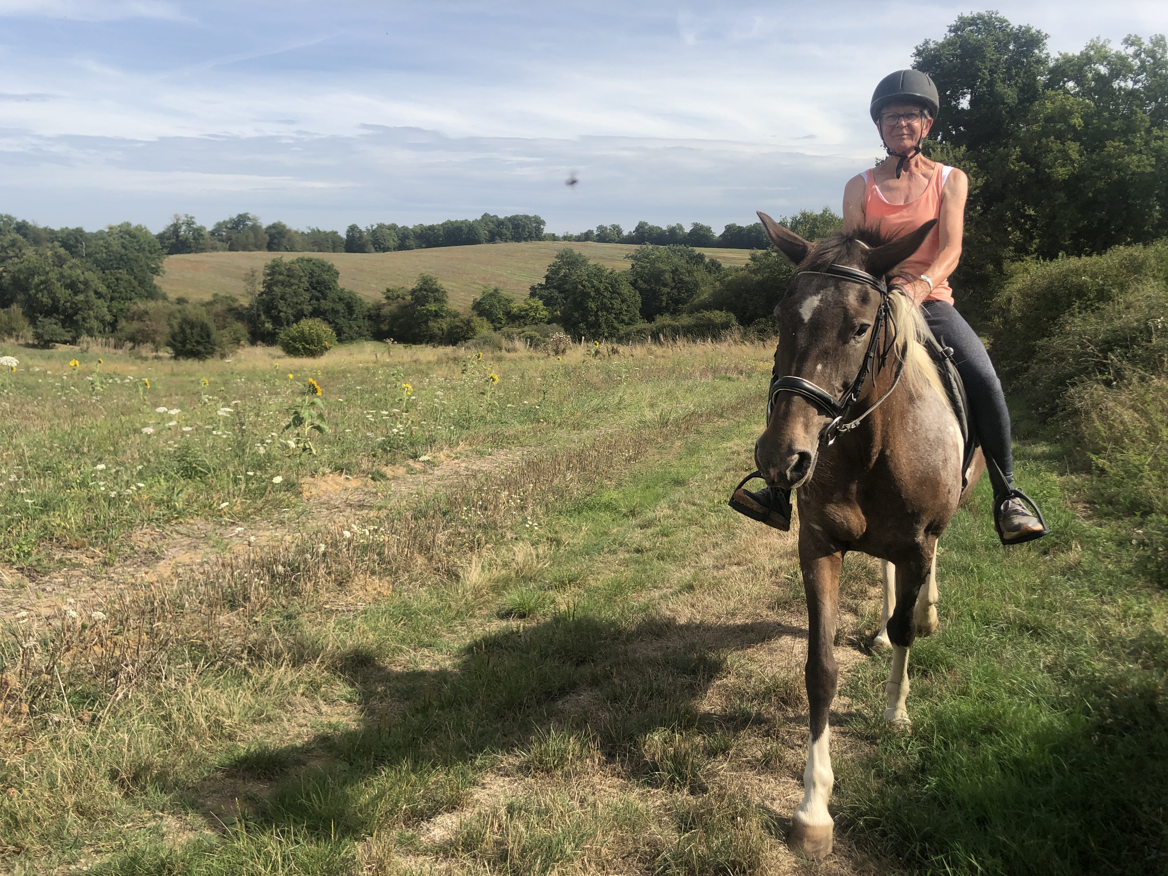 A la ferme aux cinq sens - Ferme traditionnelle - photo 5