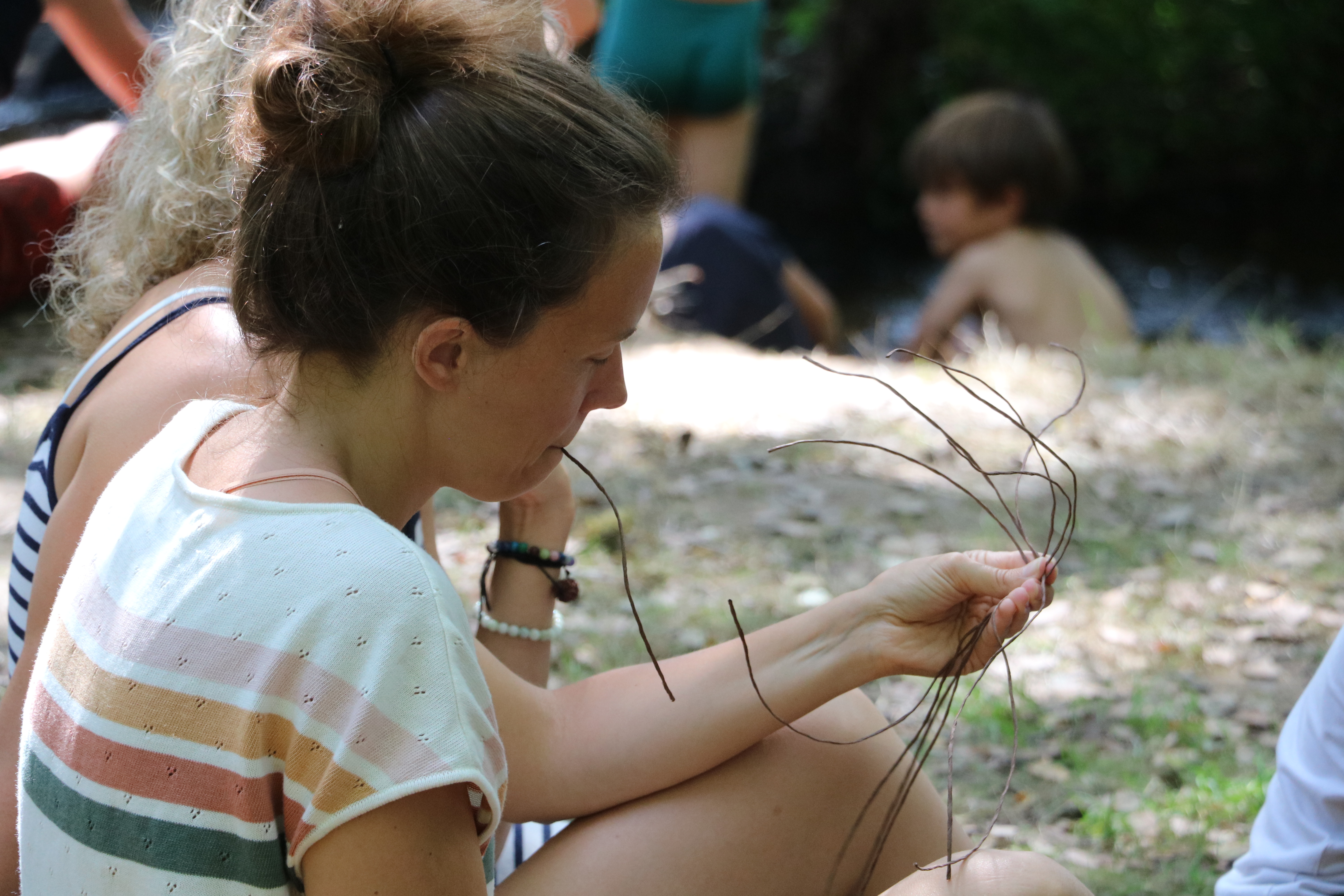 La Jaurie - camping Accueil-Paysan, Ladignac-le-Long - photo 11