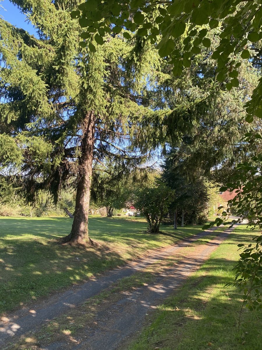 Les Gîtes de Leymandie Lou Cocal, Saint-Avit-de-Vialard - photo 4
