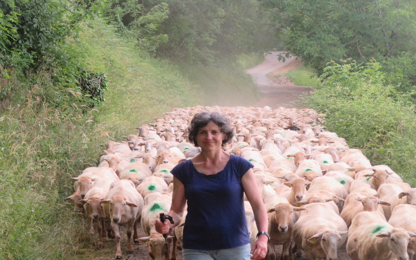 Ferme Iruleia - photo 2