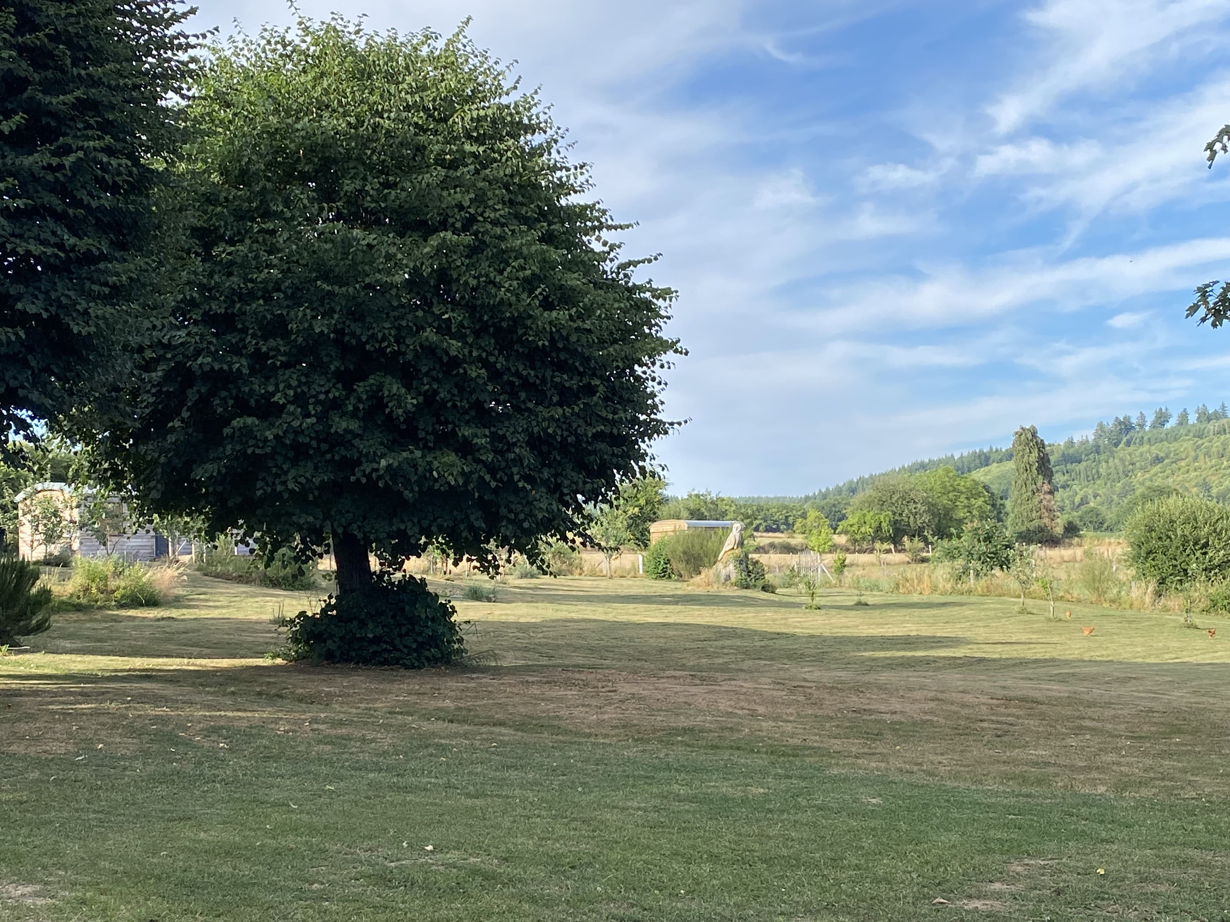 Gîte La Chevêche, Champnétery - photo 13