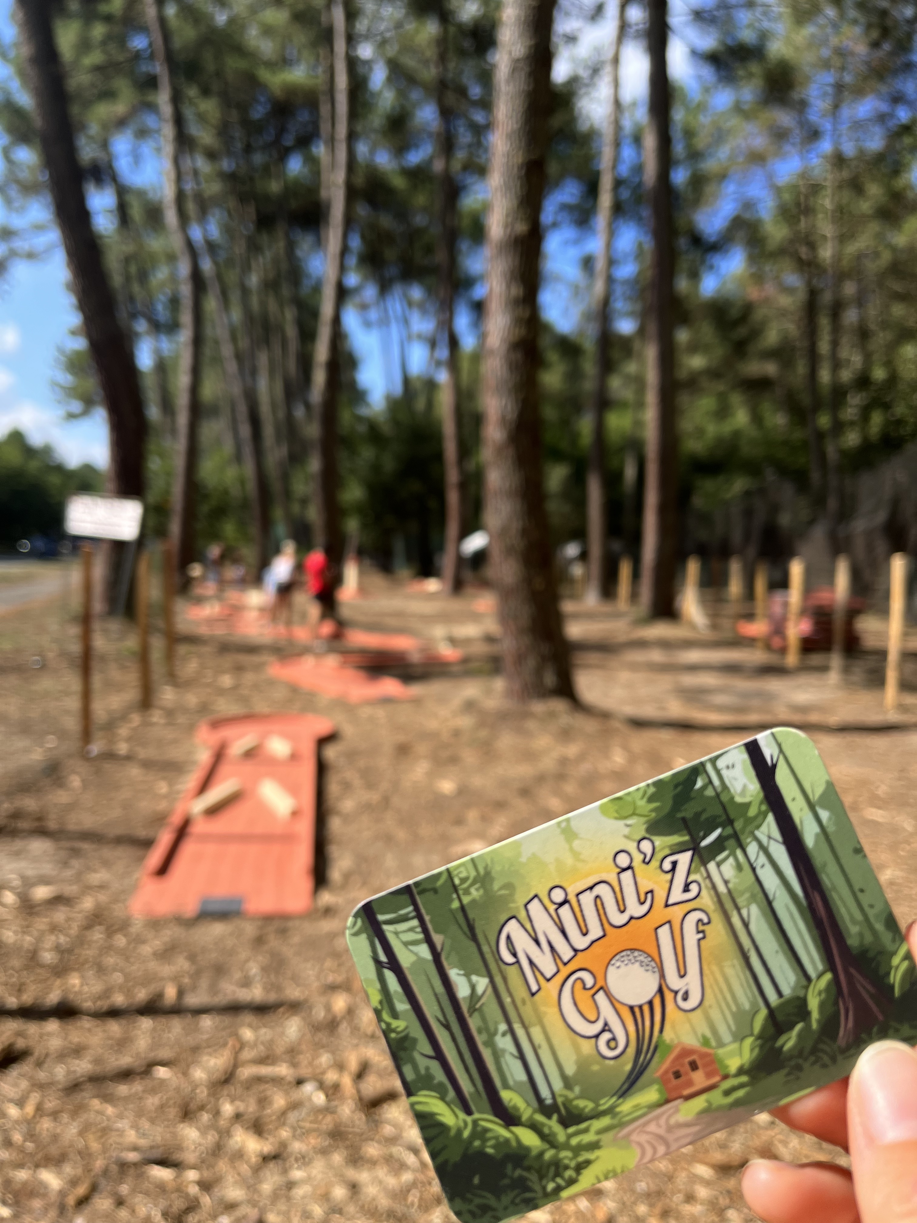 Mini'z Golf - Mini Golf - photo 5