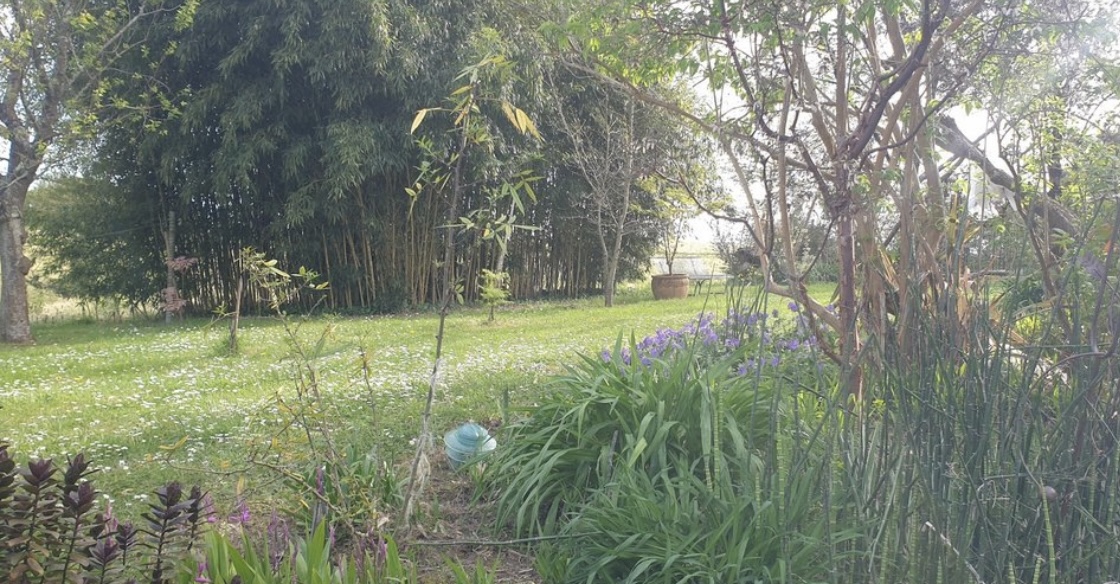 Isidra, au jardin de Termi à Laurède — photo 3