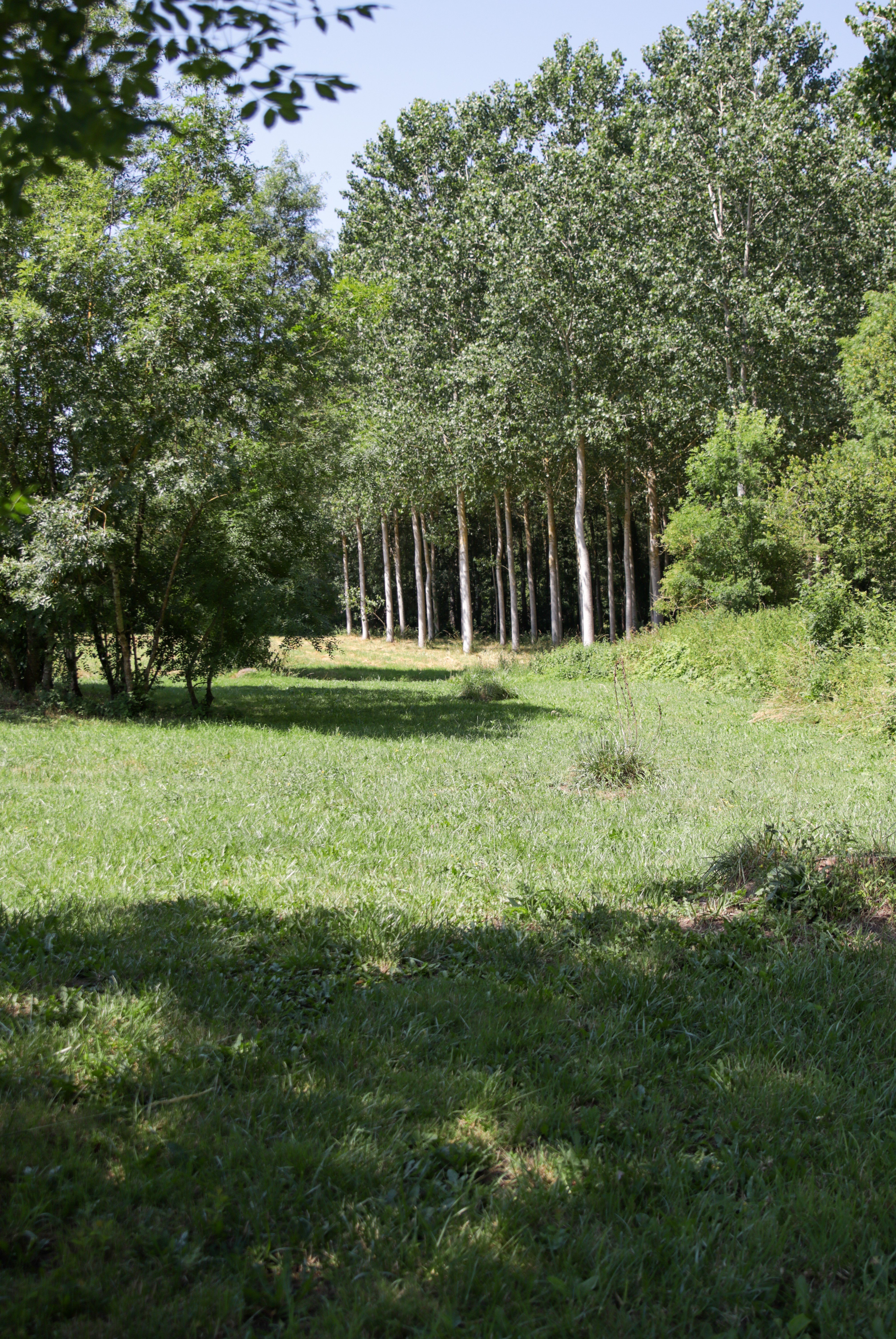 Gîte chez Marie, Chizé - photo 15