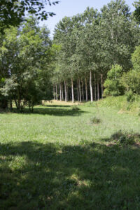 Gîtes de la fontaine : ensemble des gîtes Flavie et Marie, Chizé - photo 22