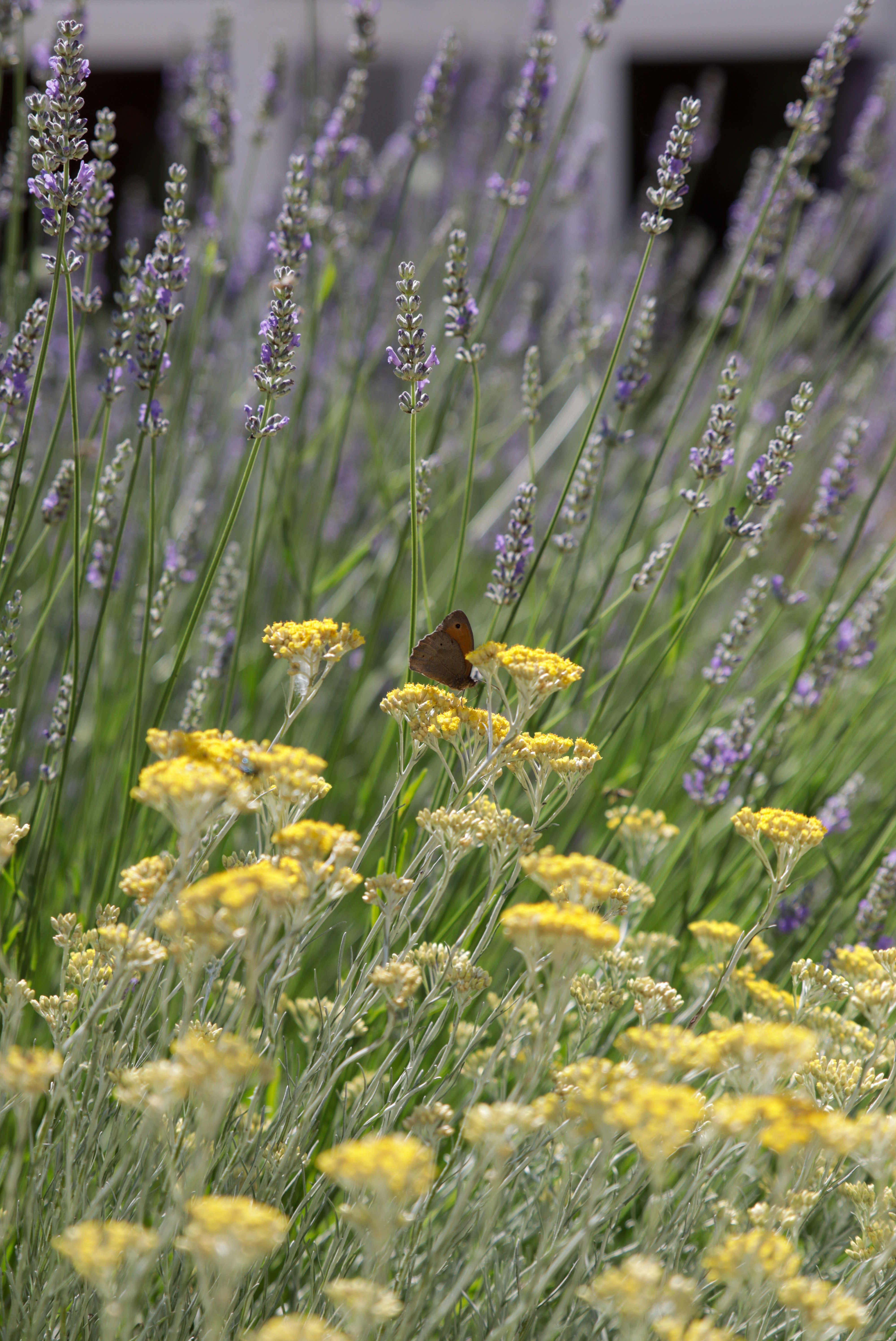 Gîte chez Marie, Chizé - photo 6