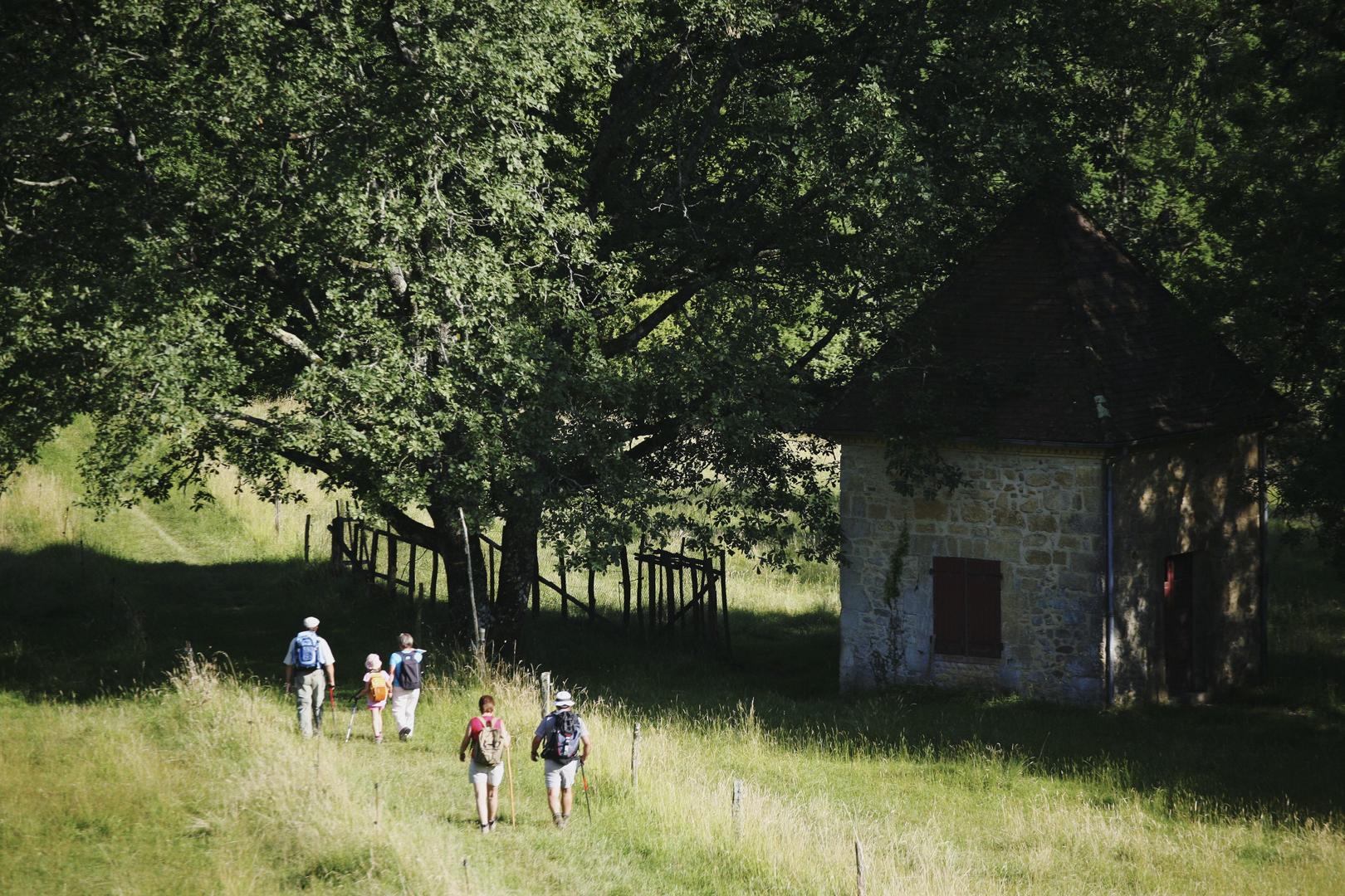 Domaine et forêt de Campagnac