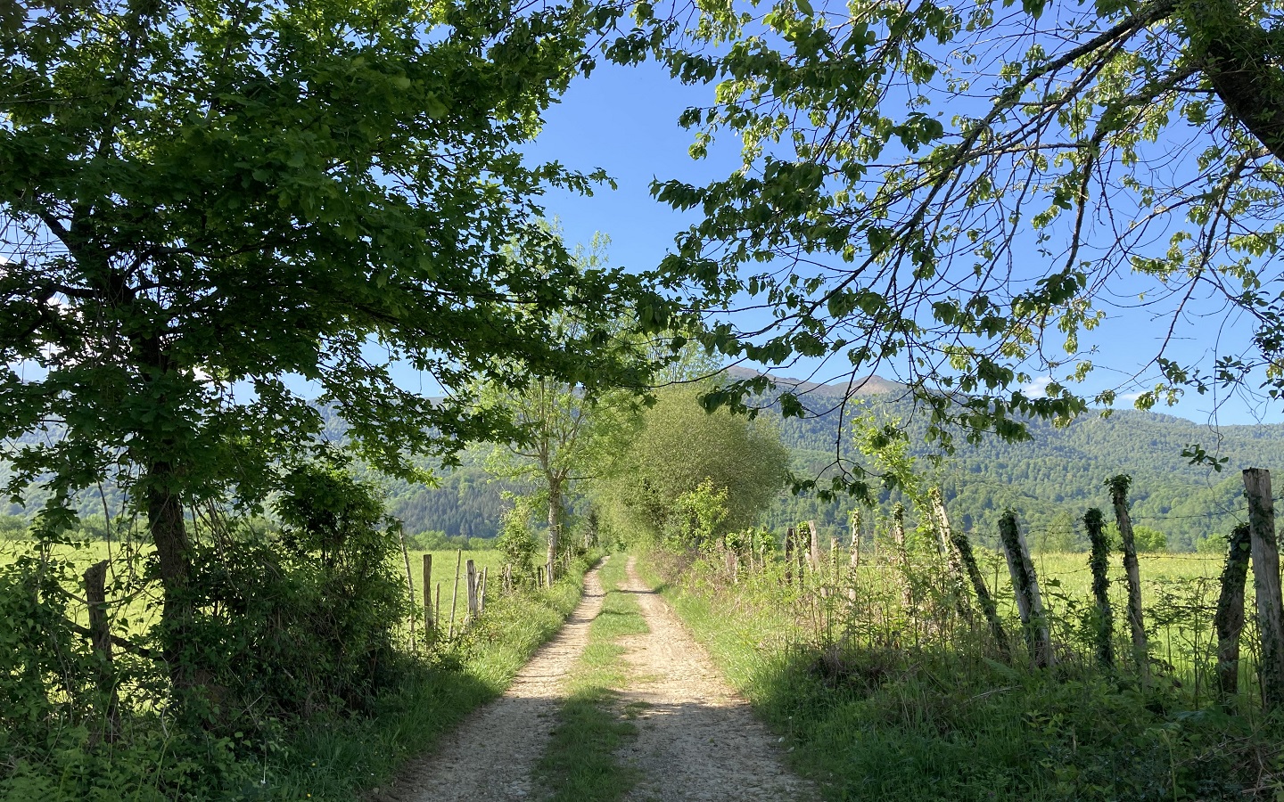 N°86 Richette, Ogeu-les-Bains