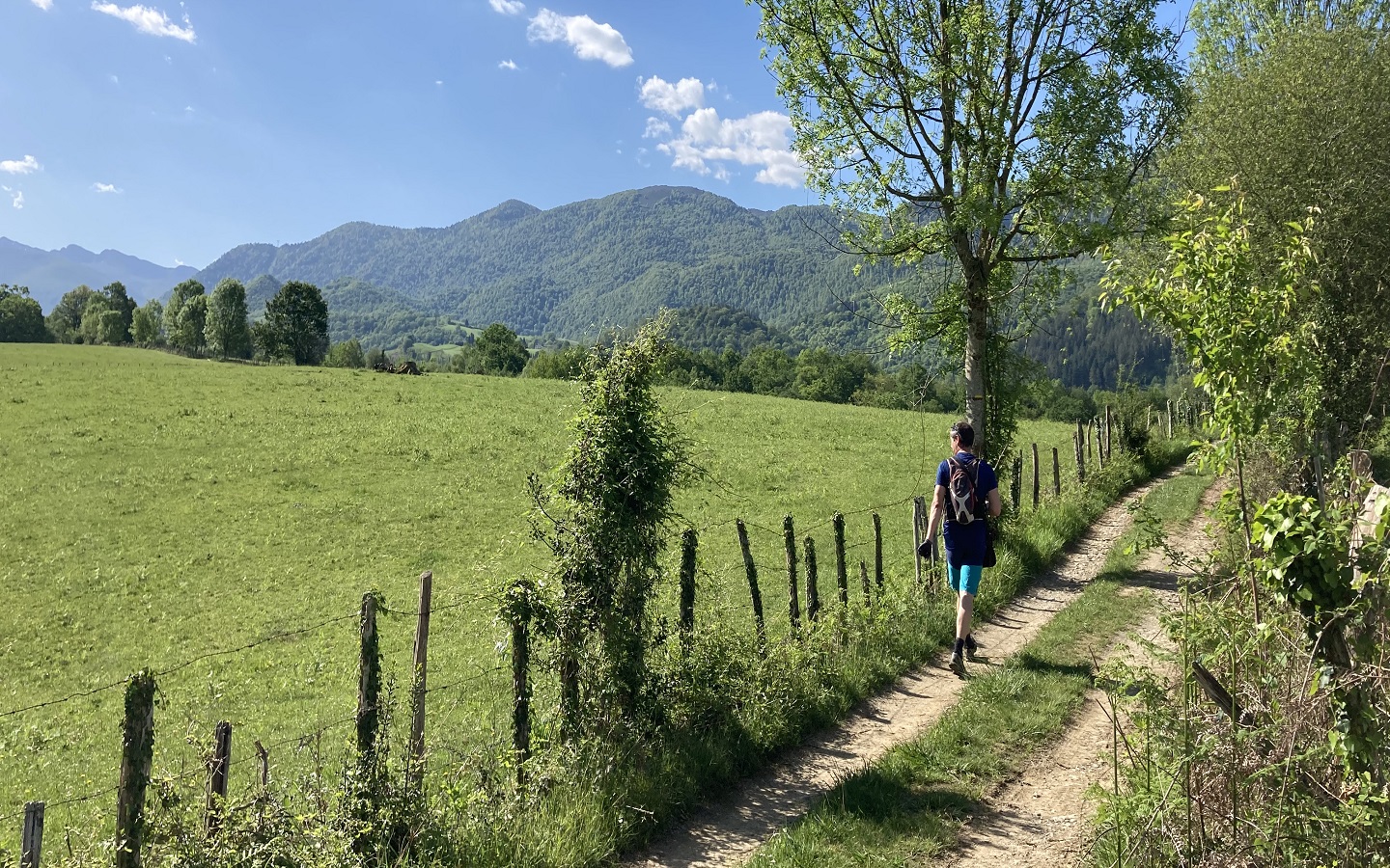 N°86 Richette, Ogeu-les-Bains - photo 3