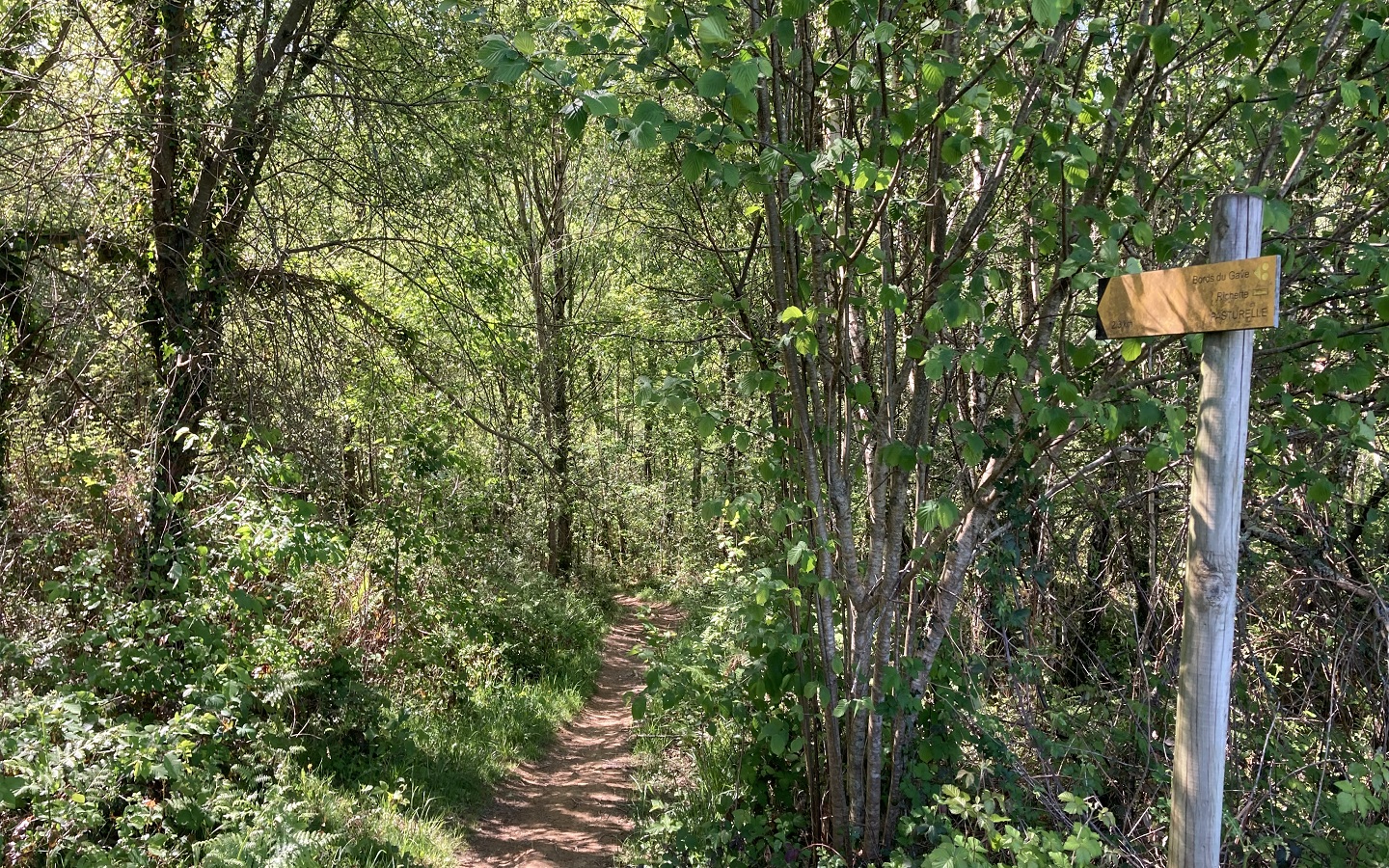 N°86 Richette, Ogeu-les-Bains - photo 2