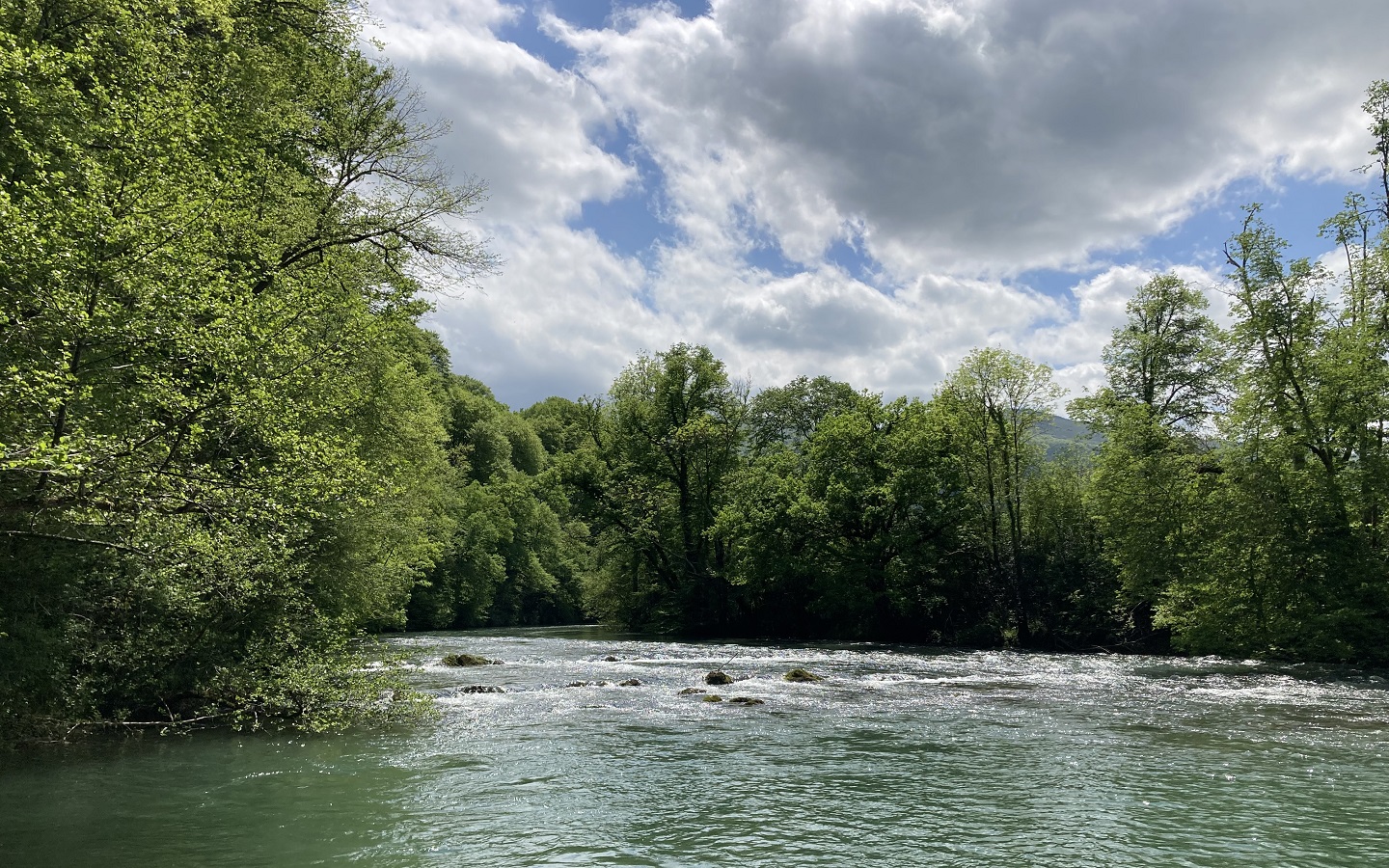 N°89 Le Bédat, Herrère