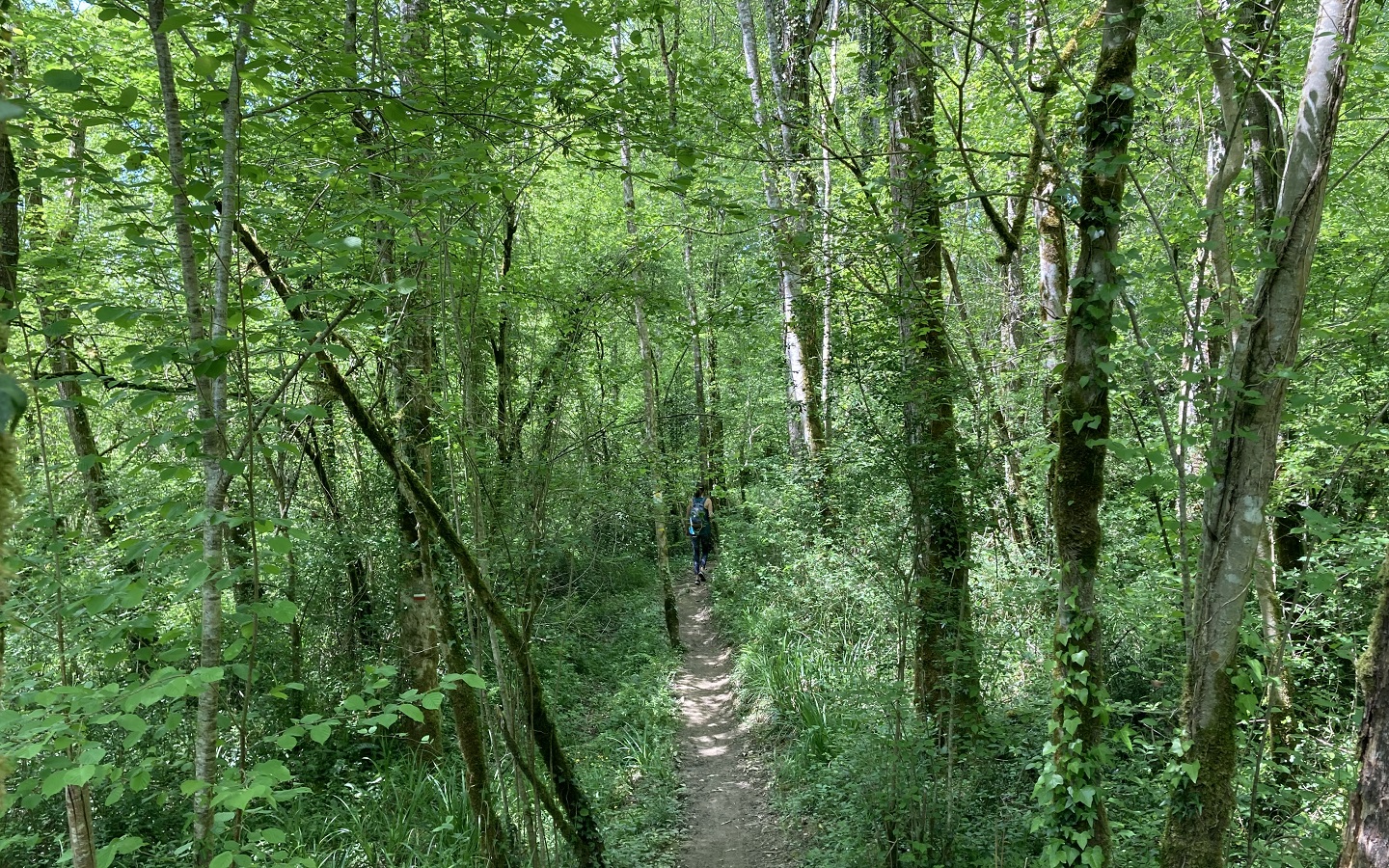 N°89 Le Bédat, Herrère - photo 2