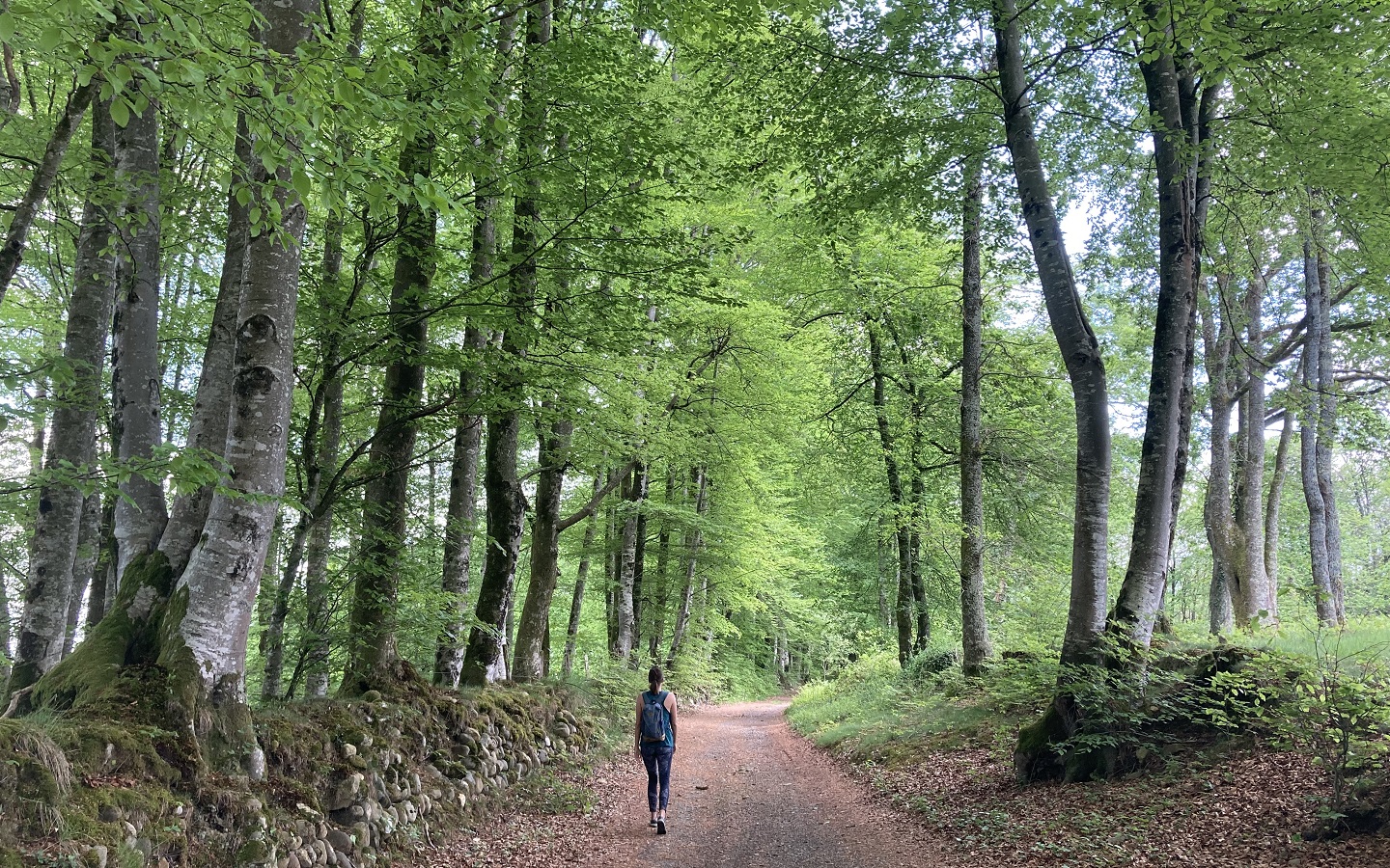 N°89 Le Bédat, Herrère - photo 4