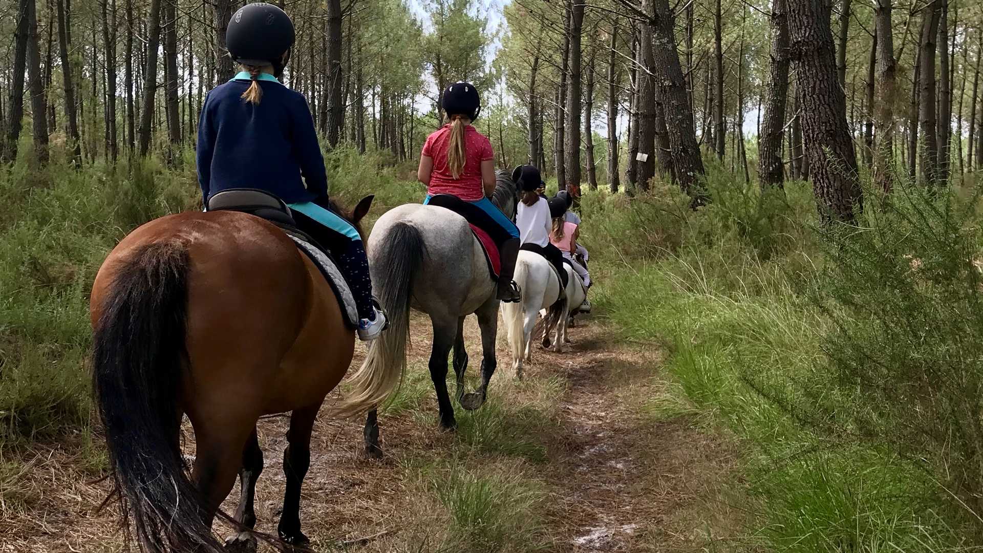 Les Ecuries de l'Hacienda, Parentis-en-Born - photo 6