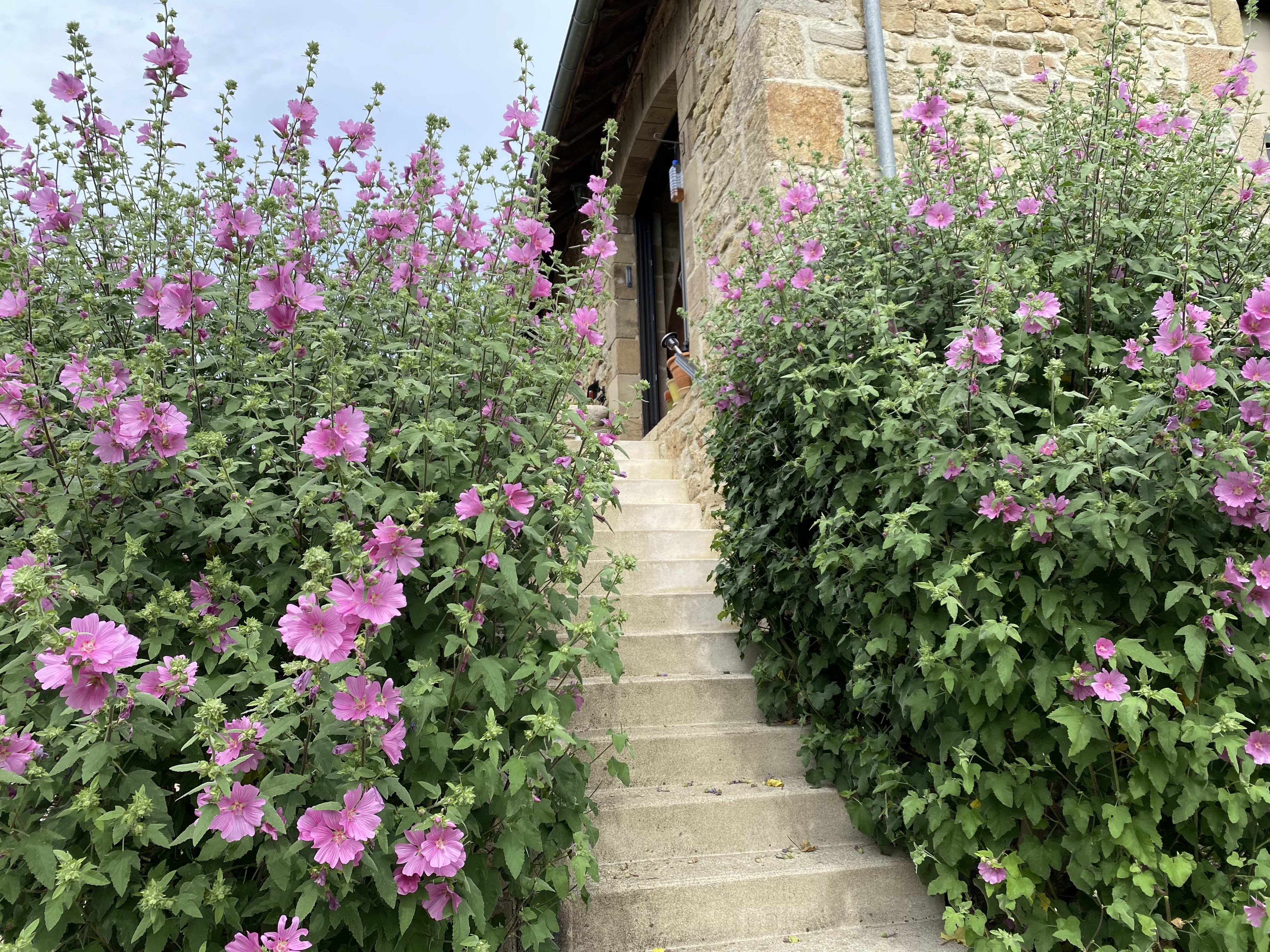 La Grange, Astaillac - photo 2