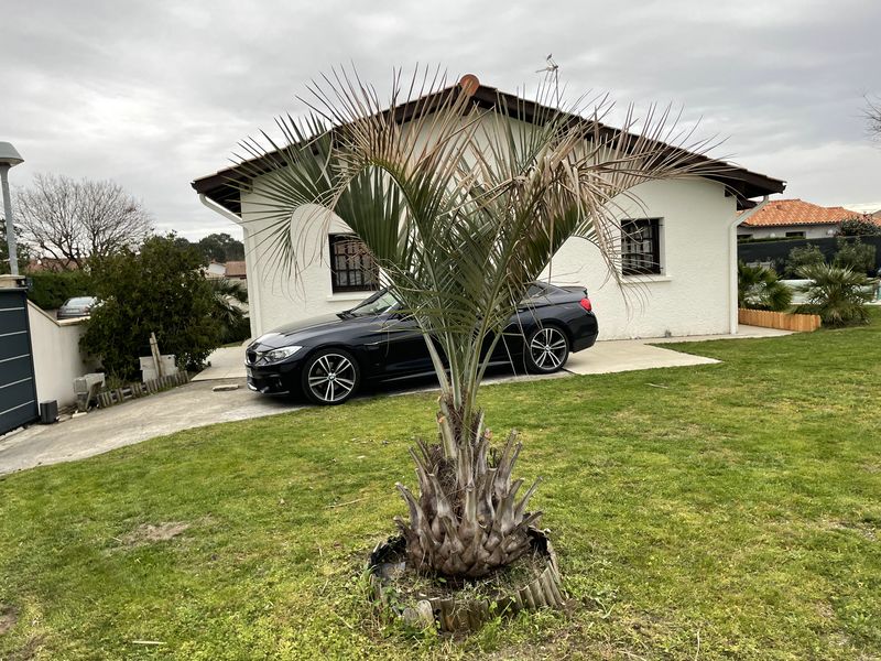 Gîte Le Rabelais, Gujan-Mestras