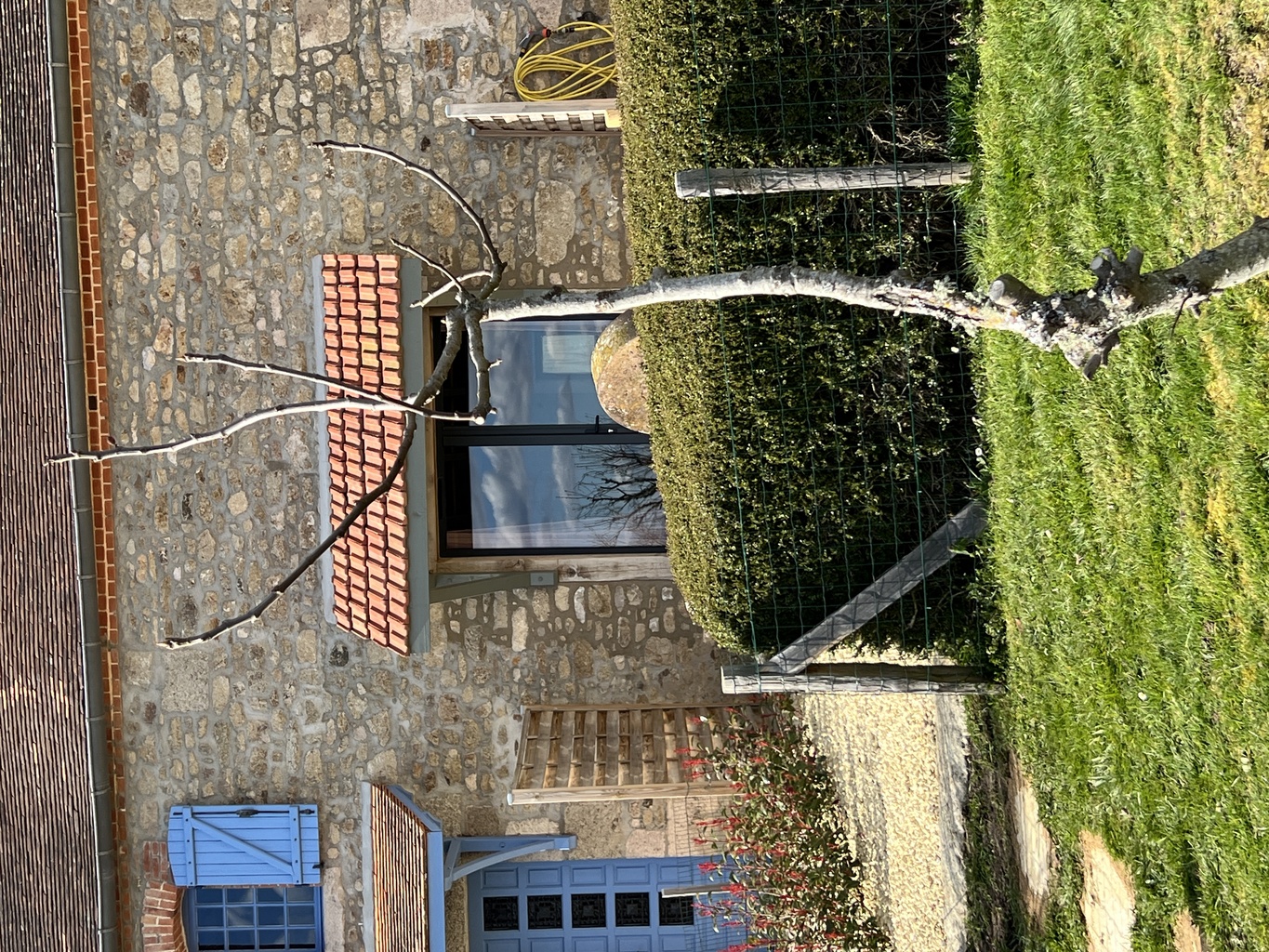 Les Petits Chiens - Gîte Le Ratelier