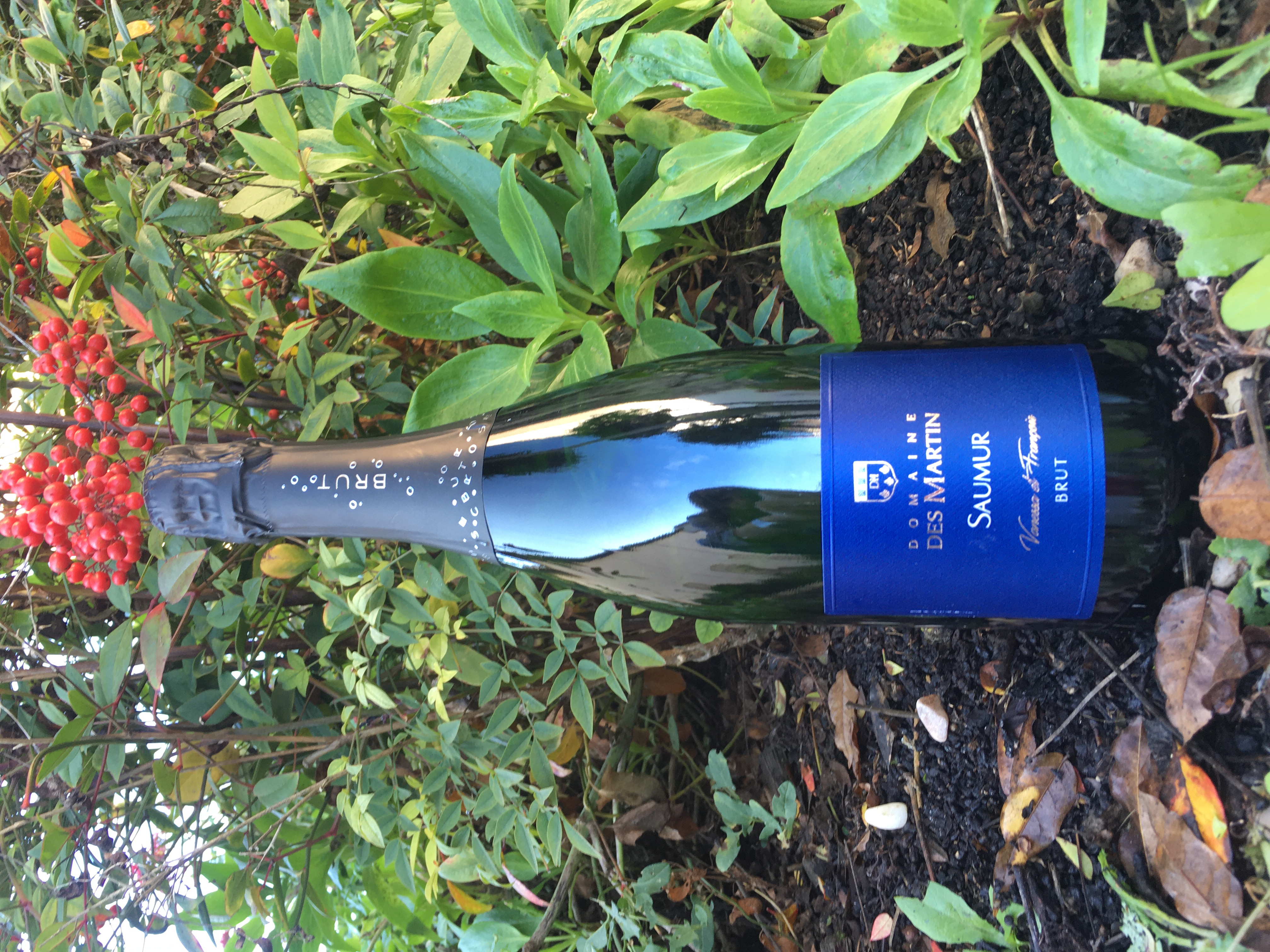 Domaine des Martin — photo 2