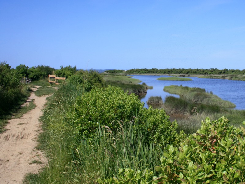 Les Pistes de Robin : jeu découverte du Domaine de Graveyron, Audenge - photo 4