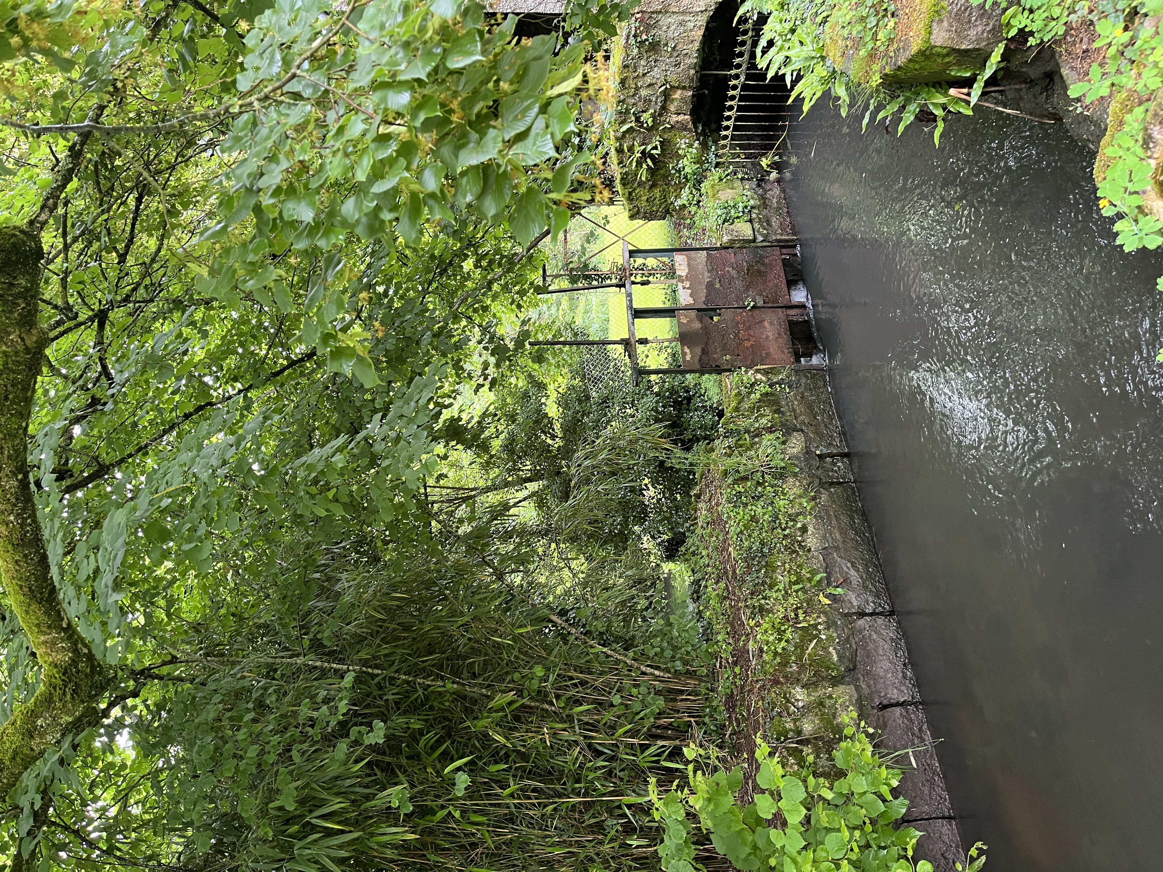 Moulin de Ringère, Quinçay - photo 4