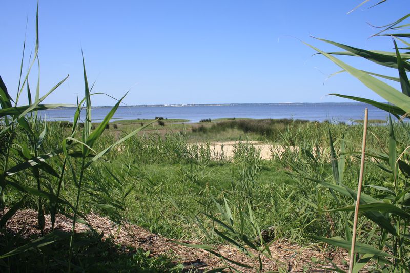 A Audenge, sur le Domaine de Graveyron entre terre et eaux, Audenge - photo 3