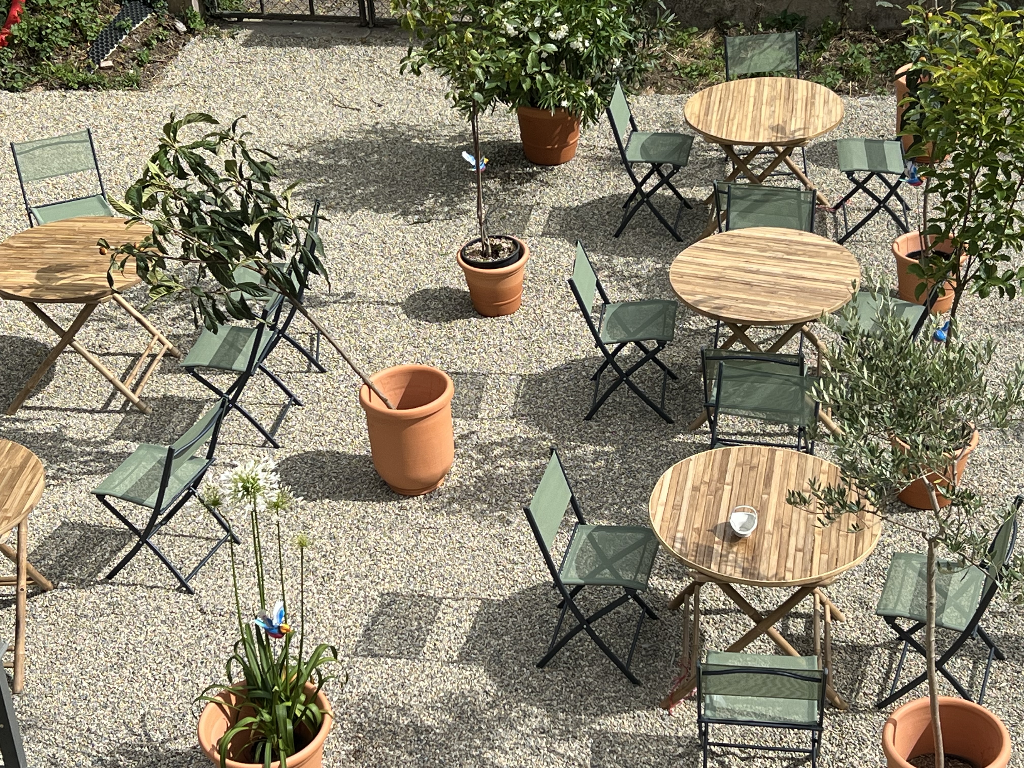 Cabinet de curiosités Latour-Marliac, Le Temple-sur-Lot - photo 2