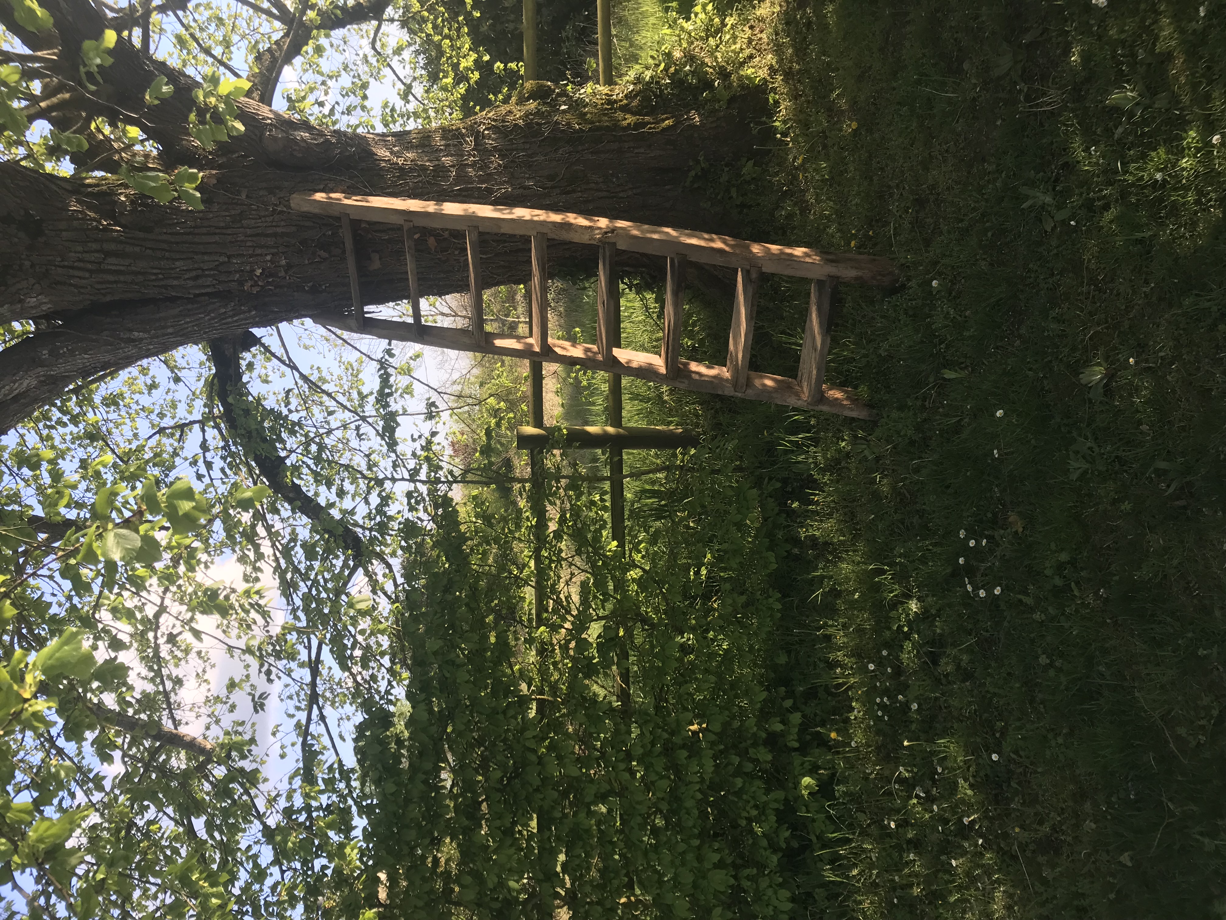 Gite 1694, Scorbé-Clairvaux - photo 2