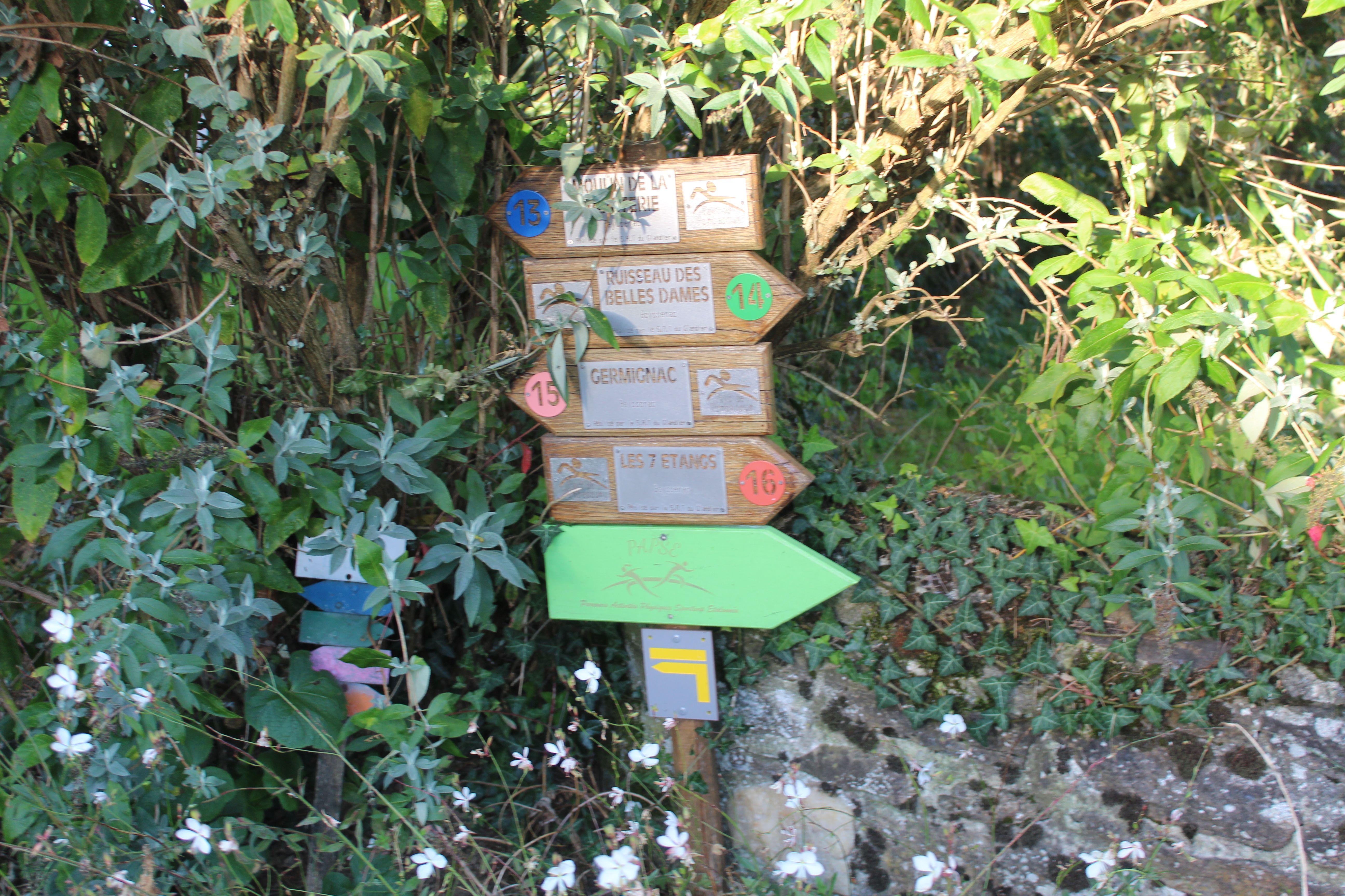 Parcours PAPSE Beyssenac - photo 4