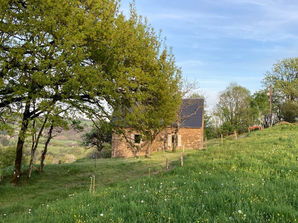 La Petitoune du Bournazel, Albignac - photo 6