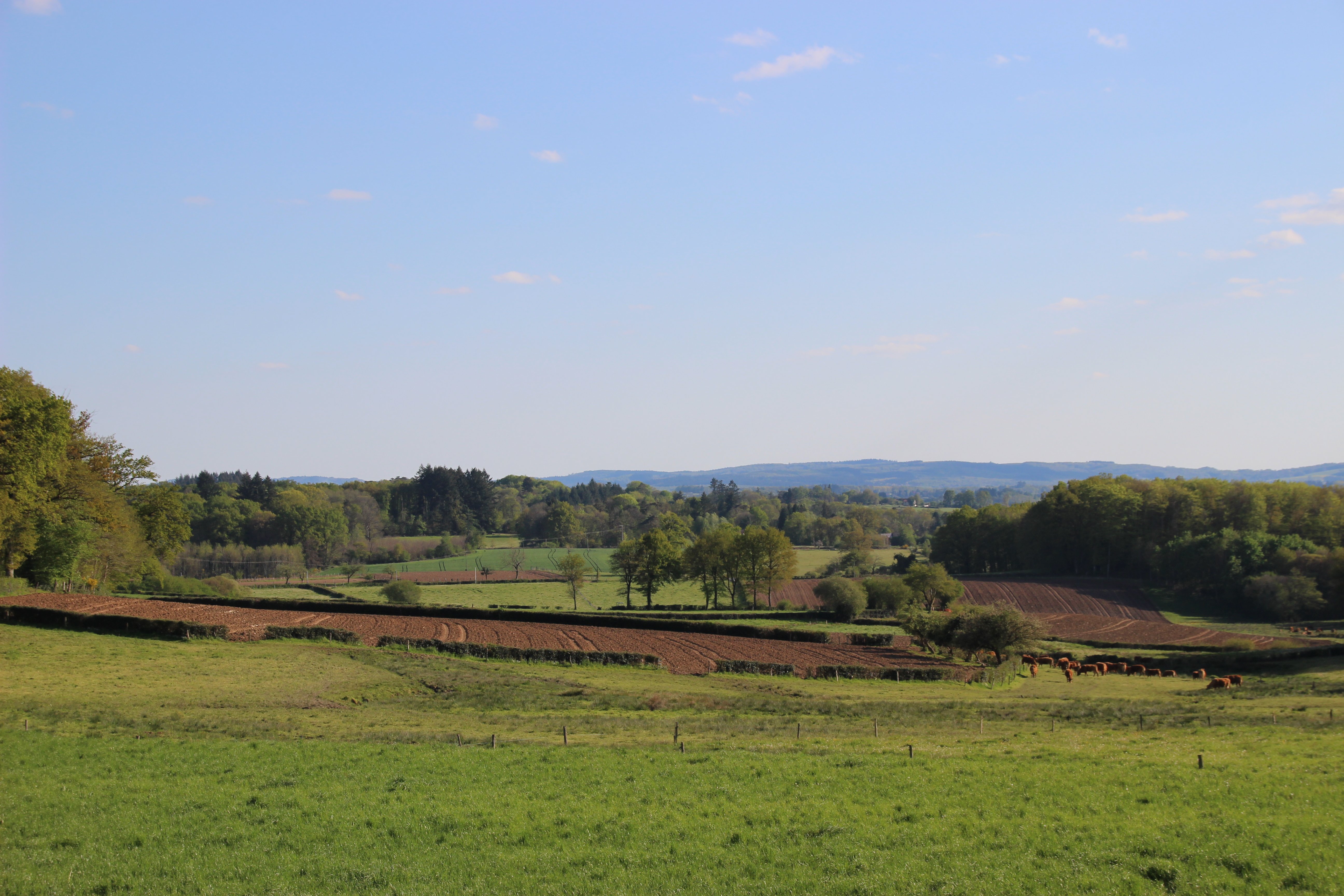 Sentier "Les Hauts de Bujaleuf", Bujaleuf - photo 4