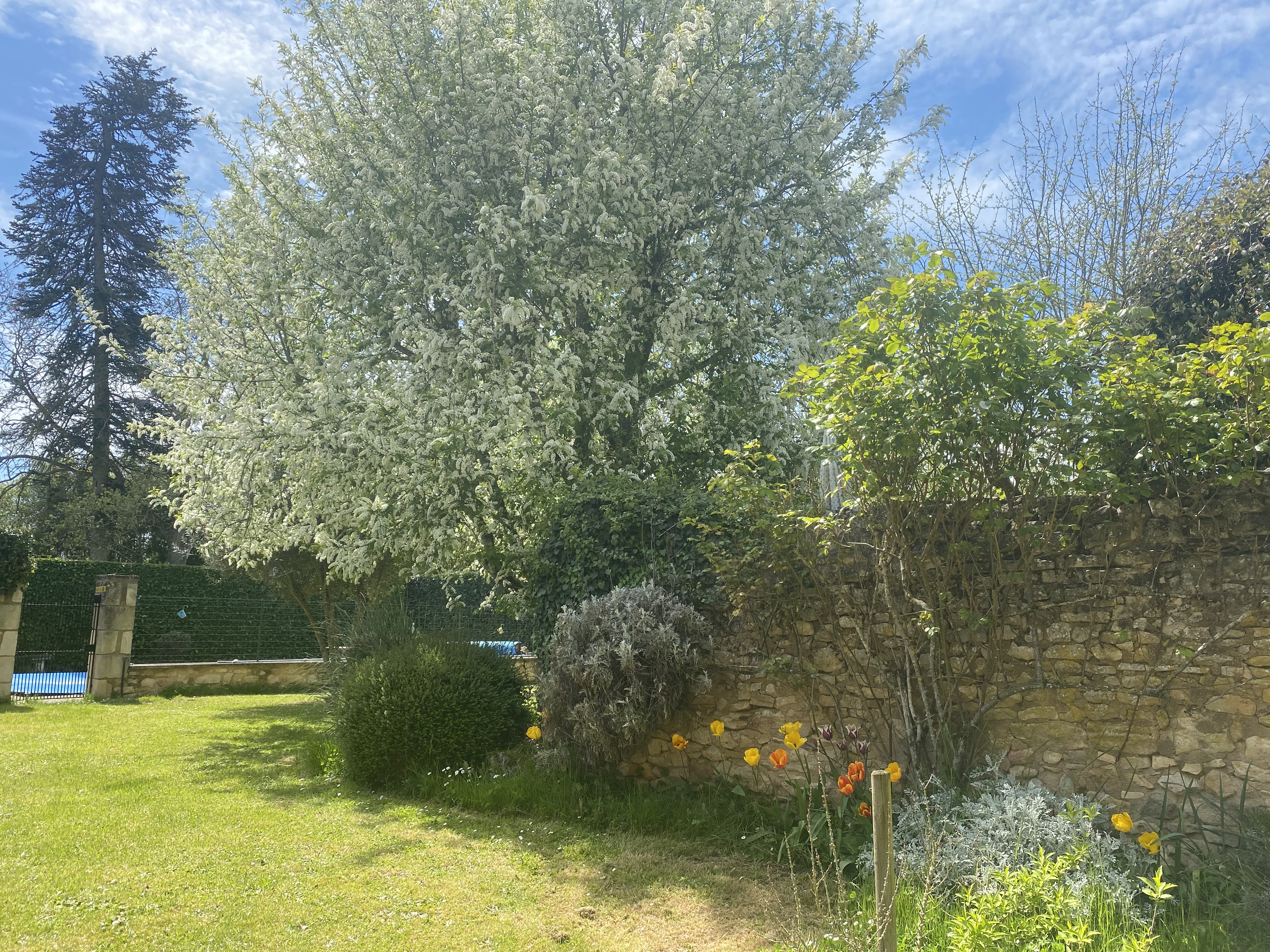La Richardière, Antigny - photo 25
