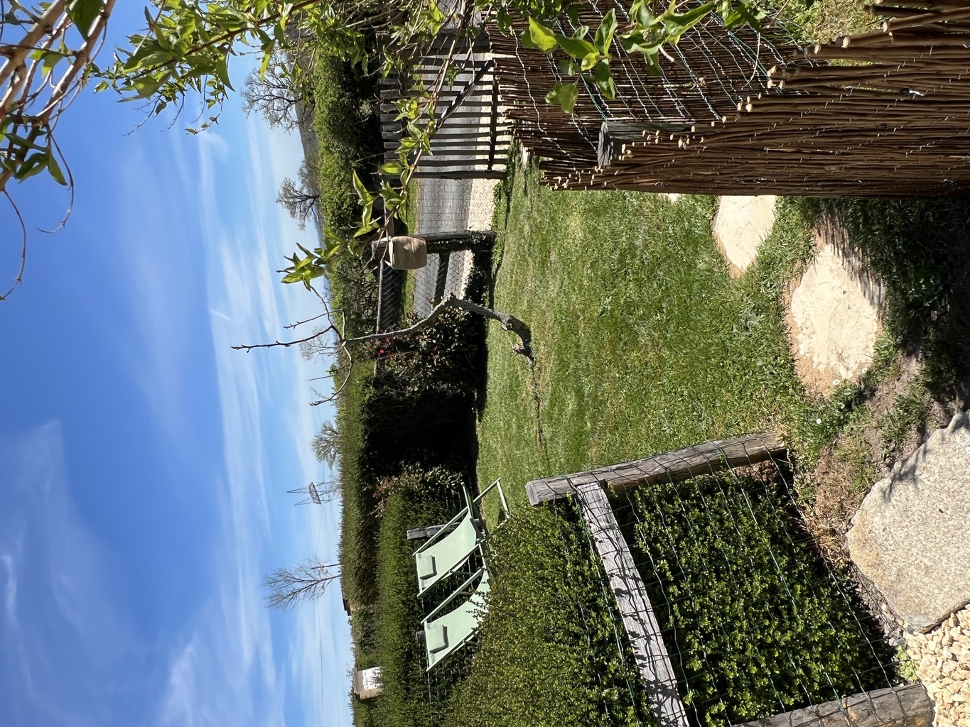 Les Petits Chiens - Gîte Le Ratelier - photo 5